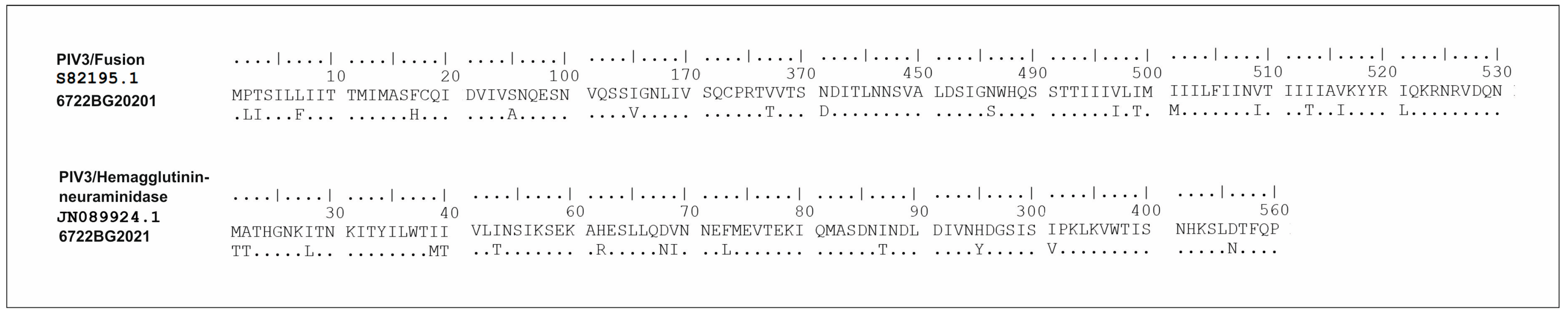 Viruses 16 00958 g010