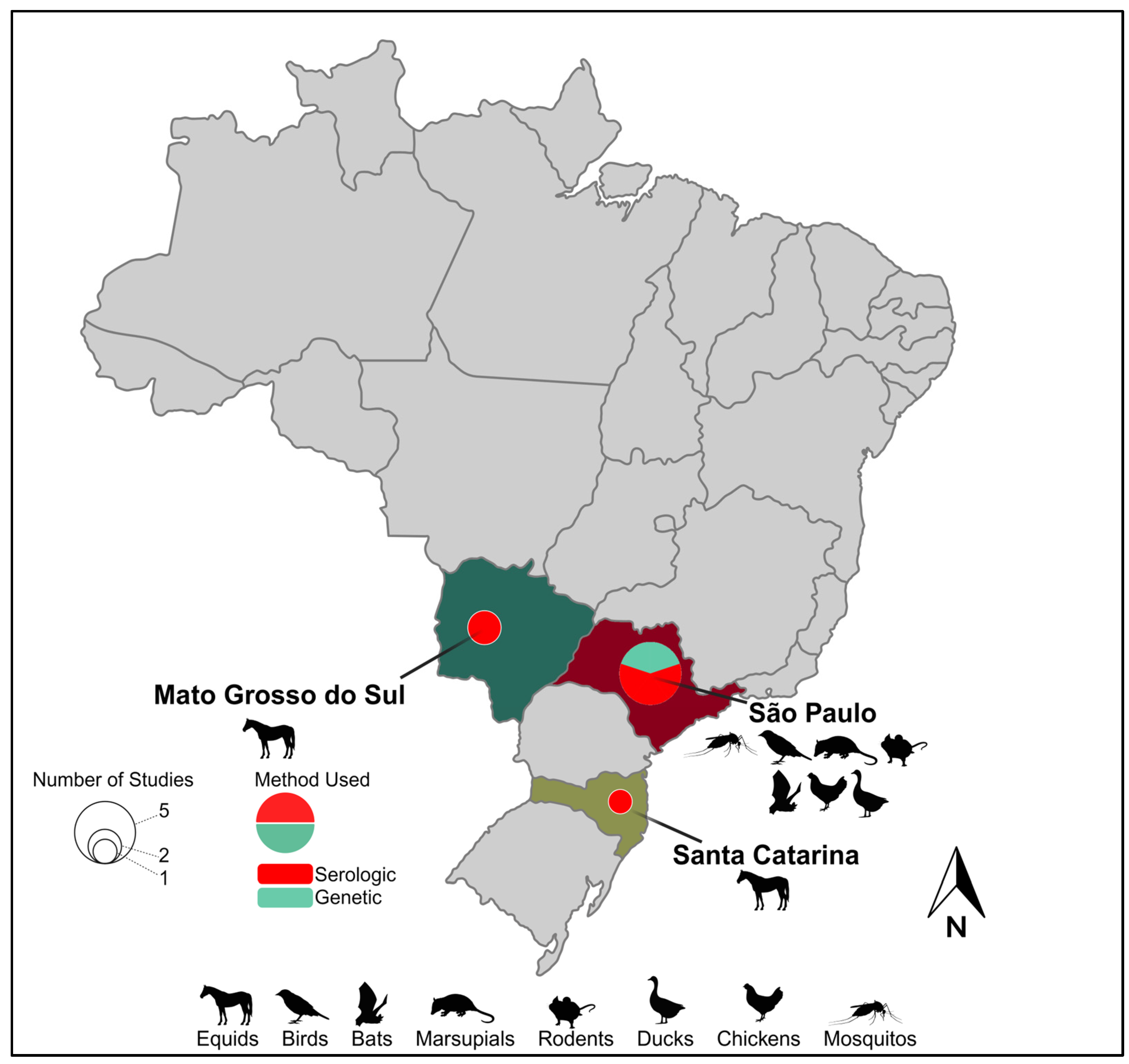 Viruses 16 00960 g001