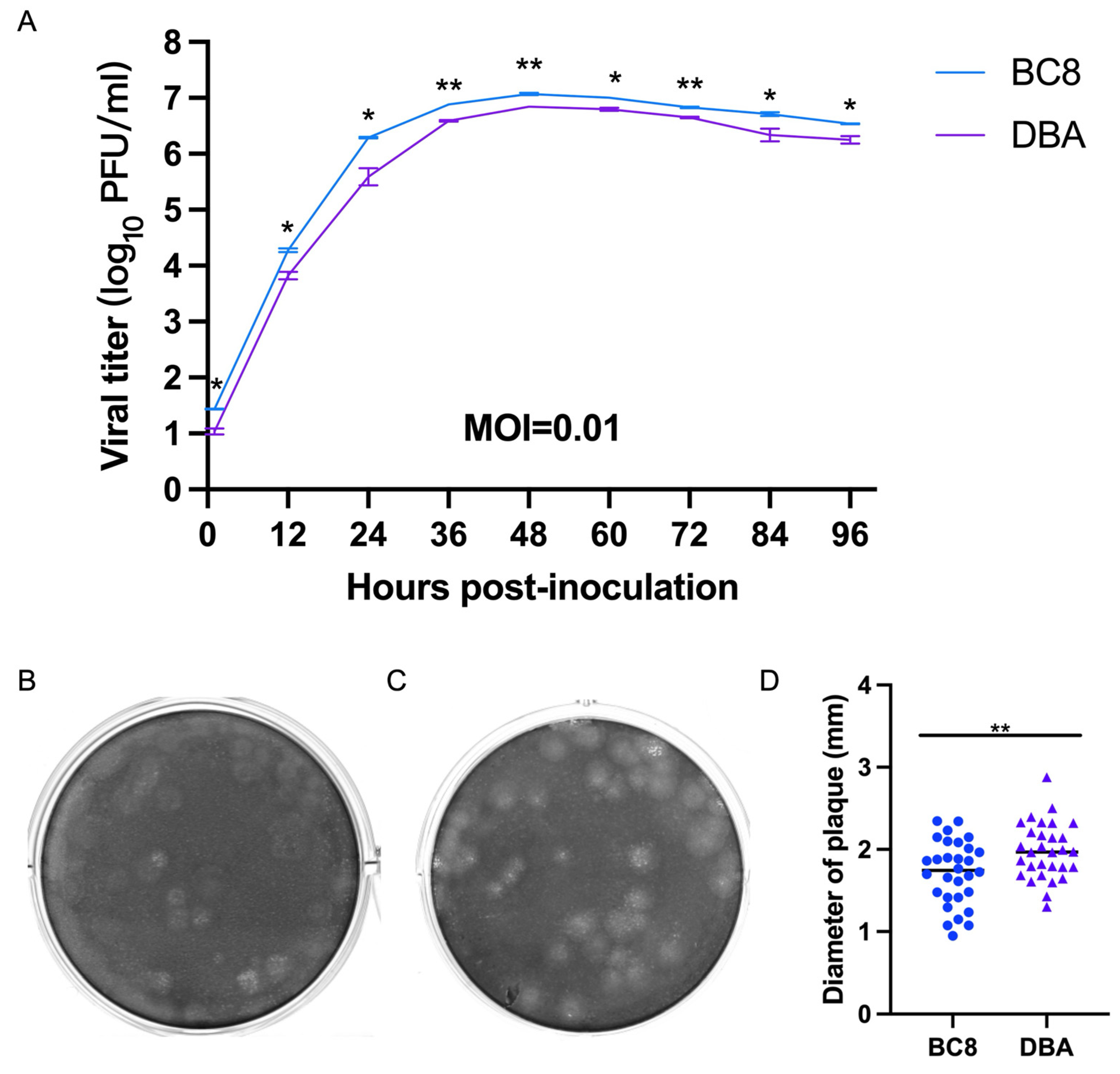Viruses 16 00965 g003