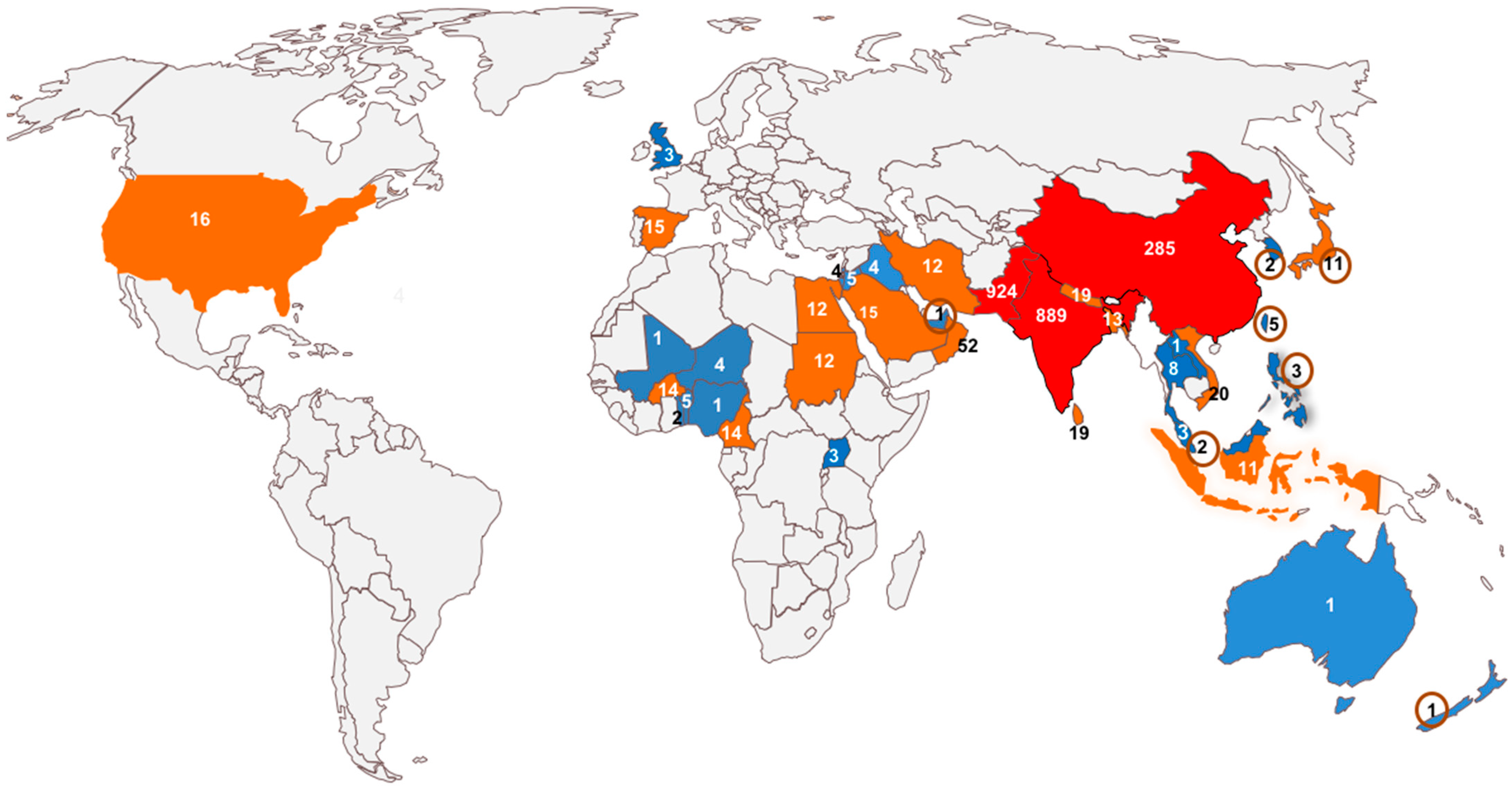 Viruses 16 00970 g001