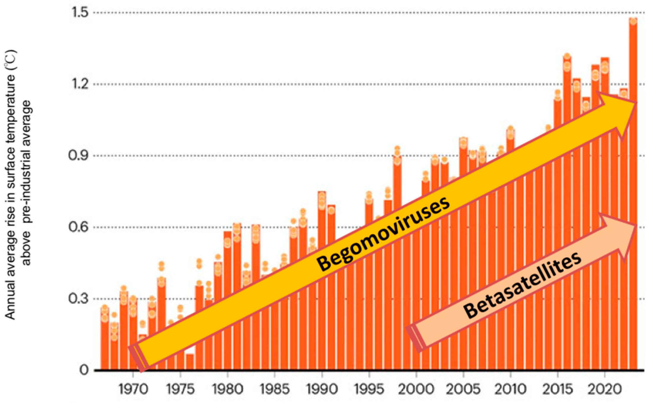 Viruses 16 00970 g002