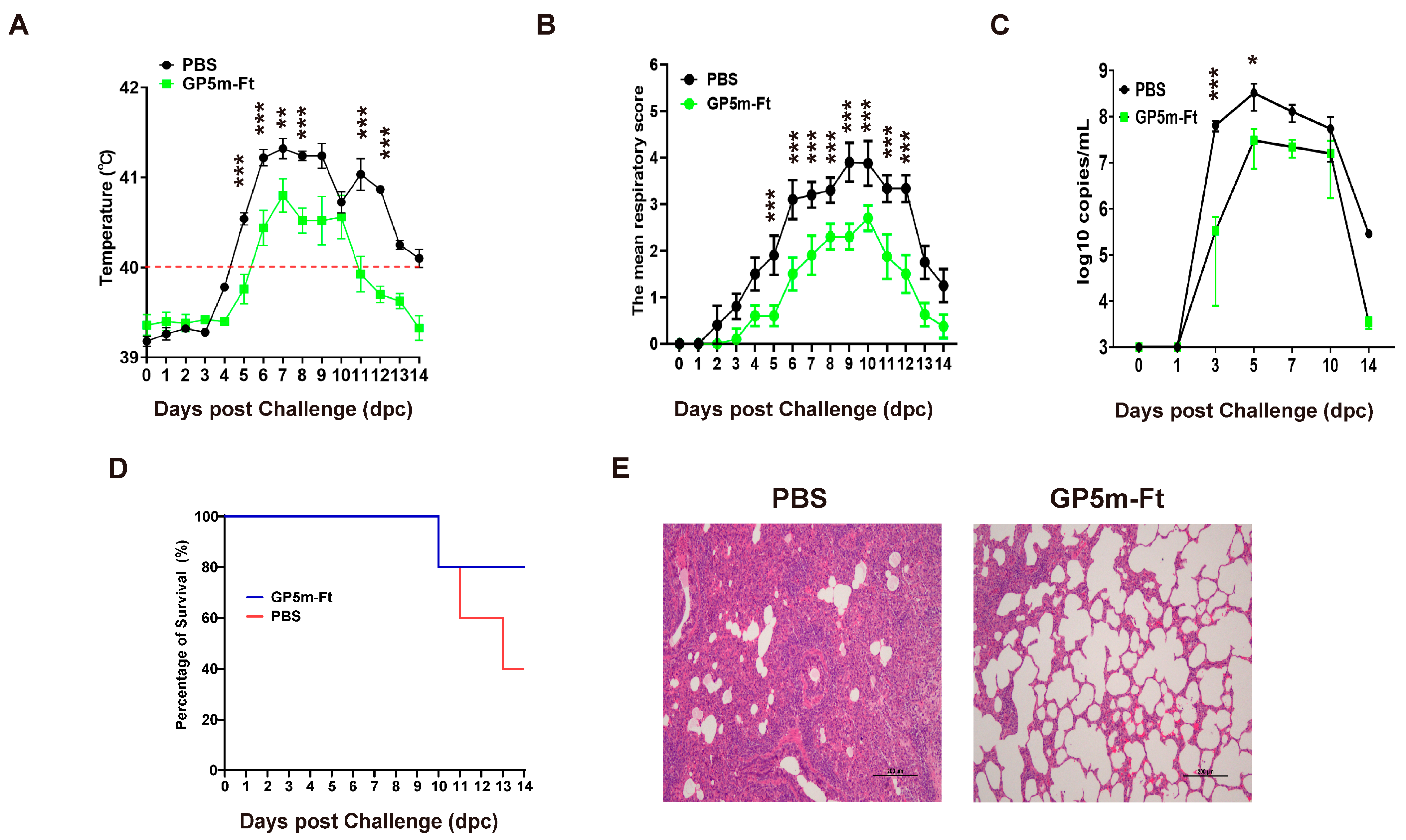 Viruses 16 00991 g005