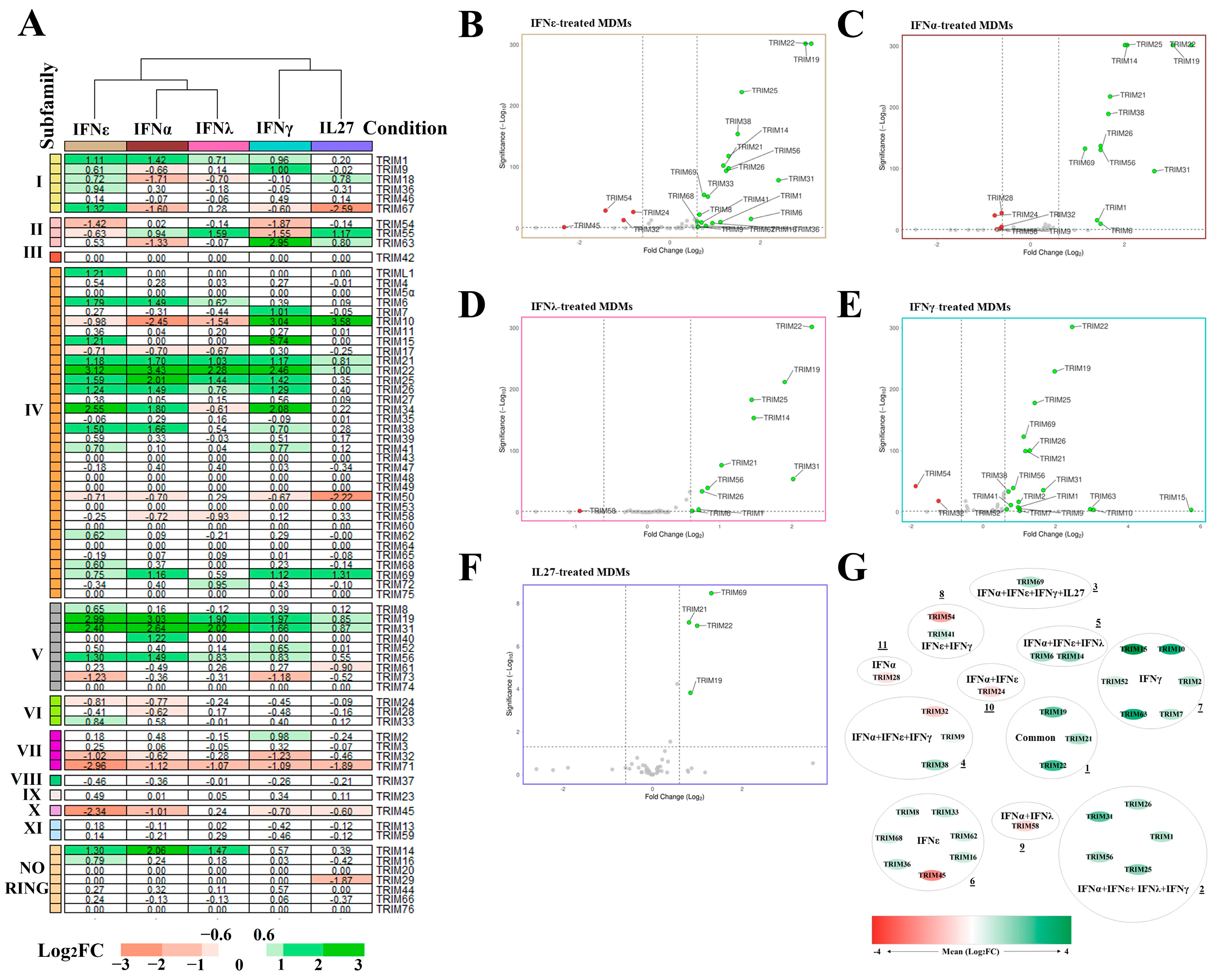 Viruses 16 00996 g002