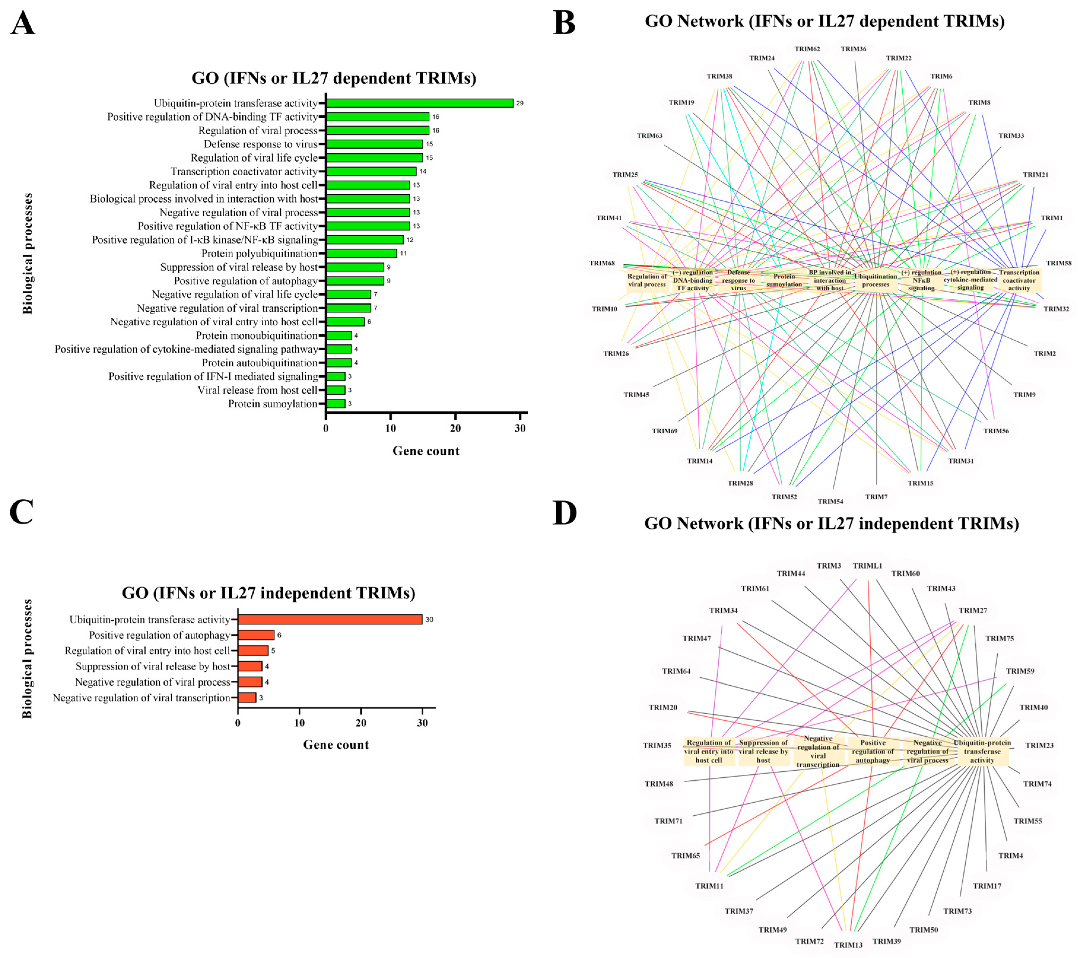Viruses 16 00996 g003
