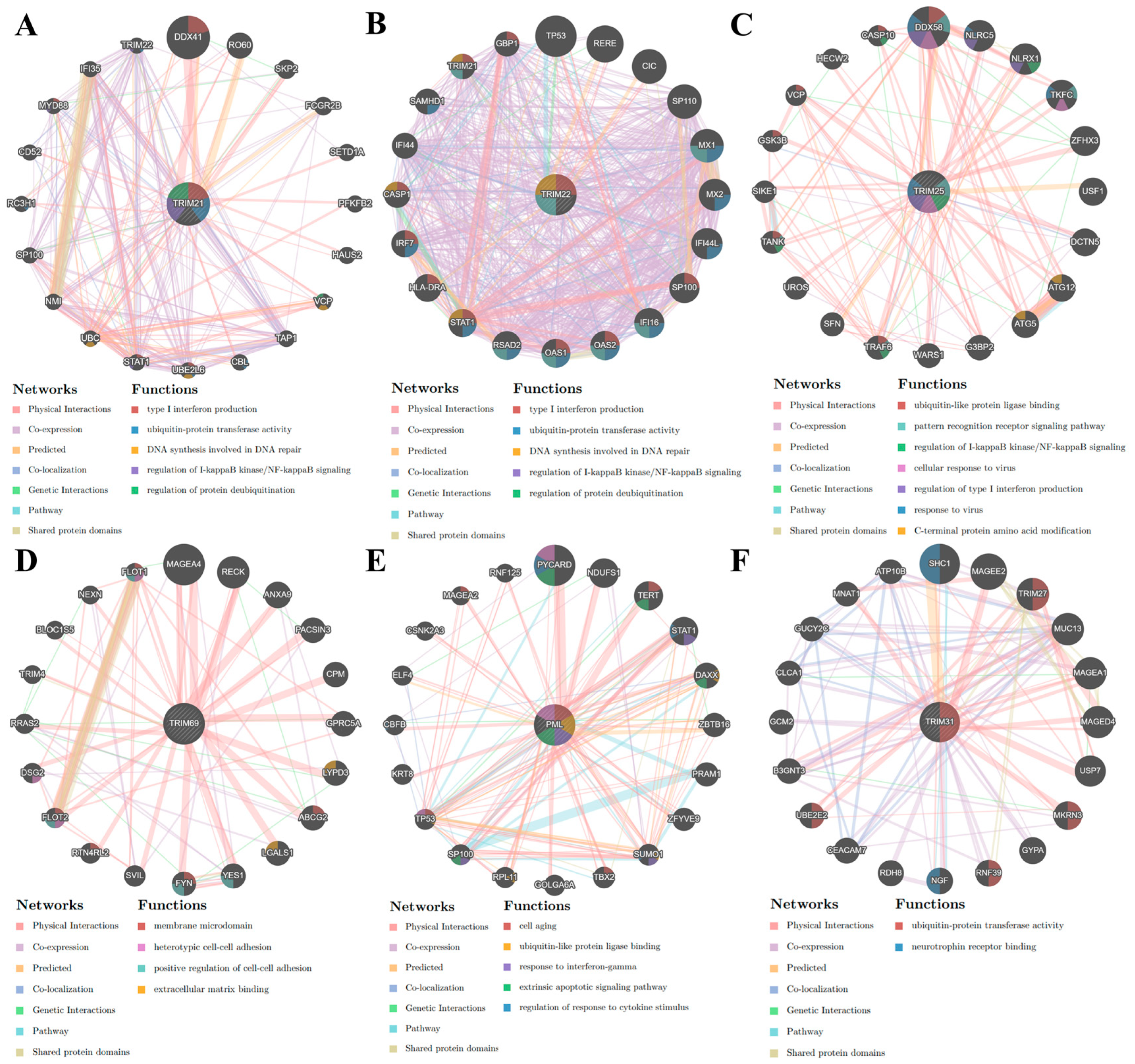 Viruses 16 00996 g004