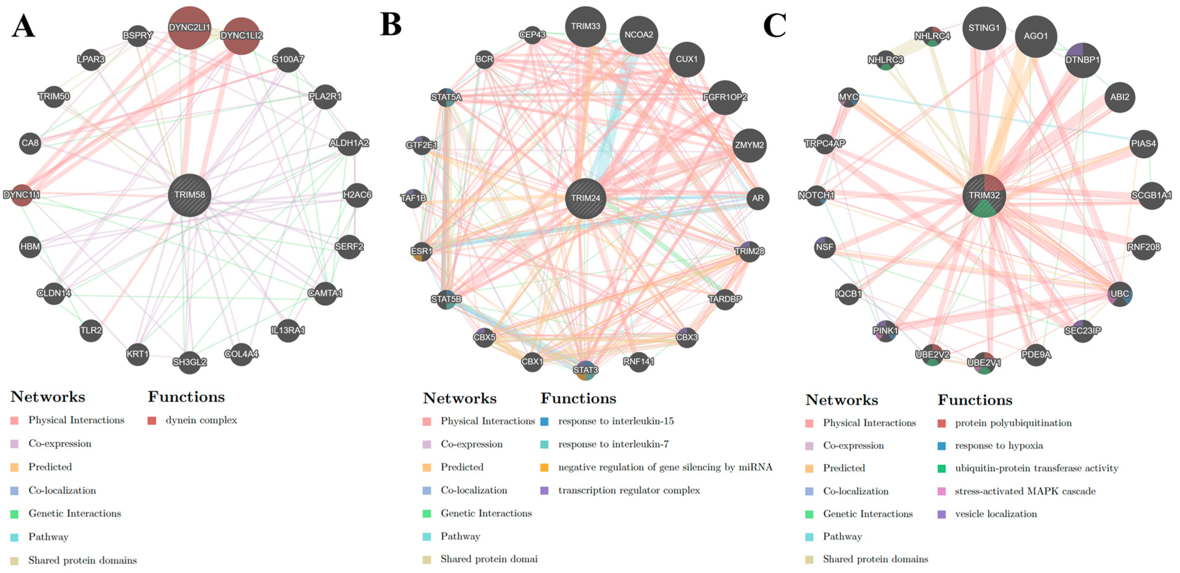 Viruses 16 00996 g005