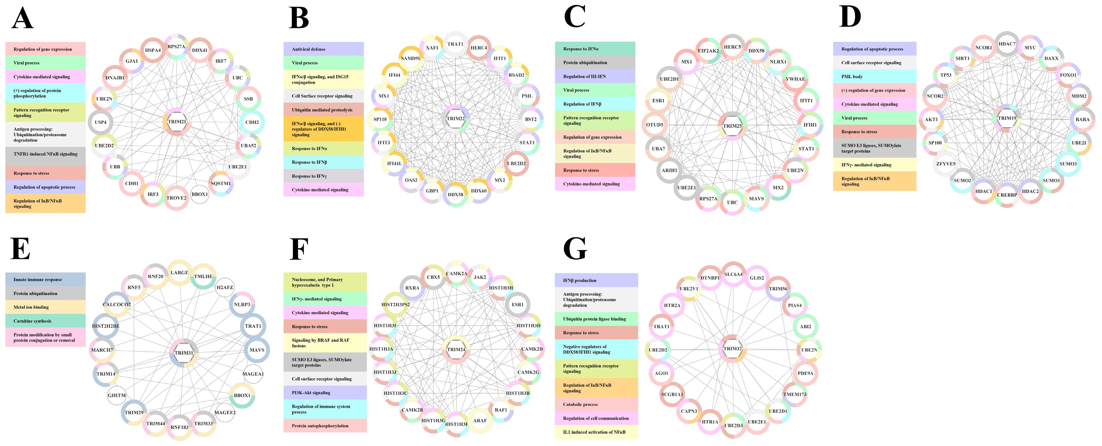 Viruses 16 00996 g006