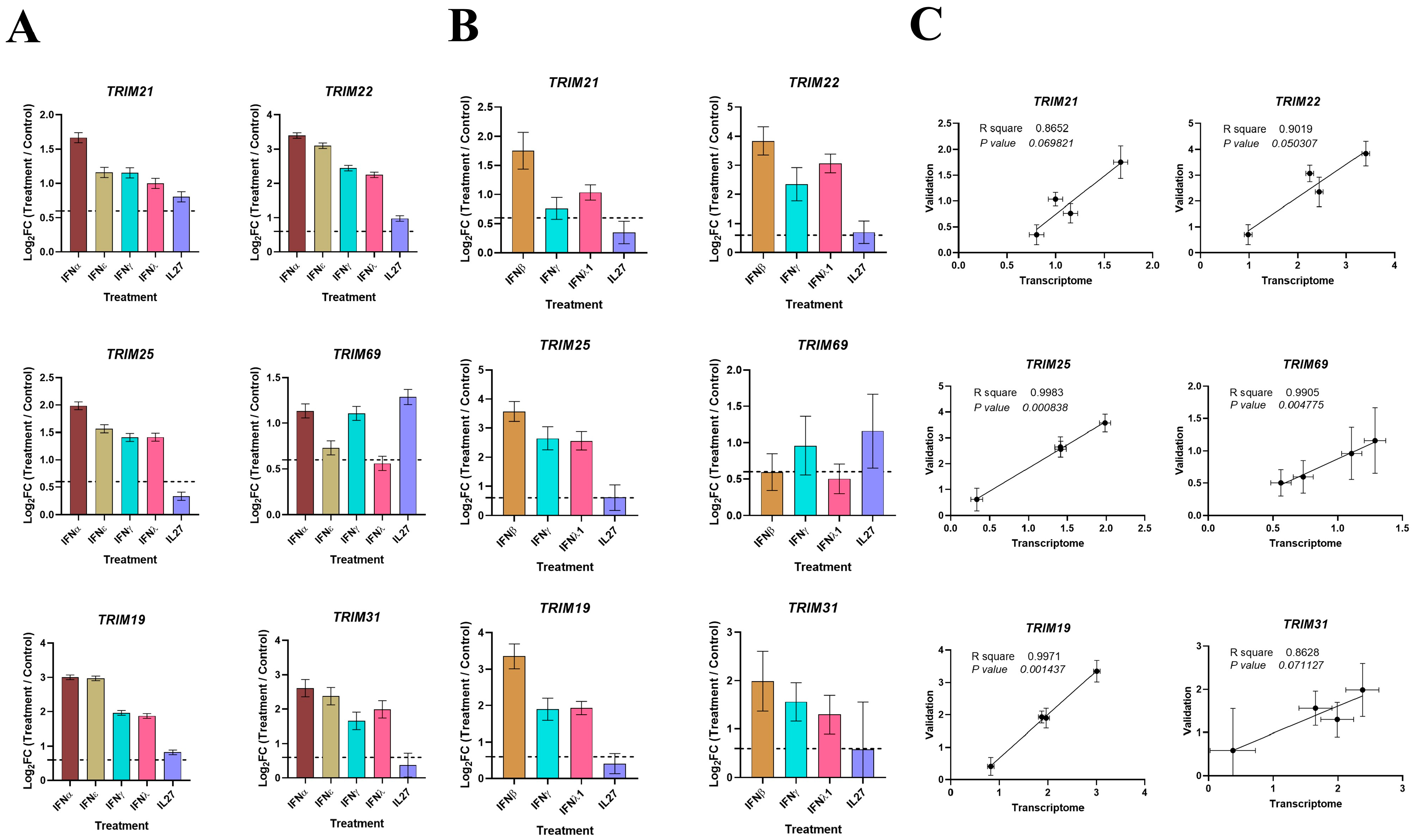 Viruses 16 00996 g007
