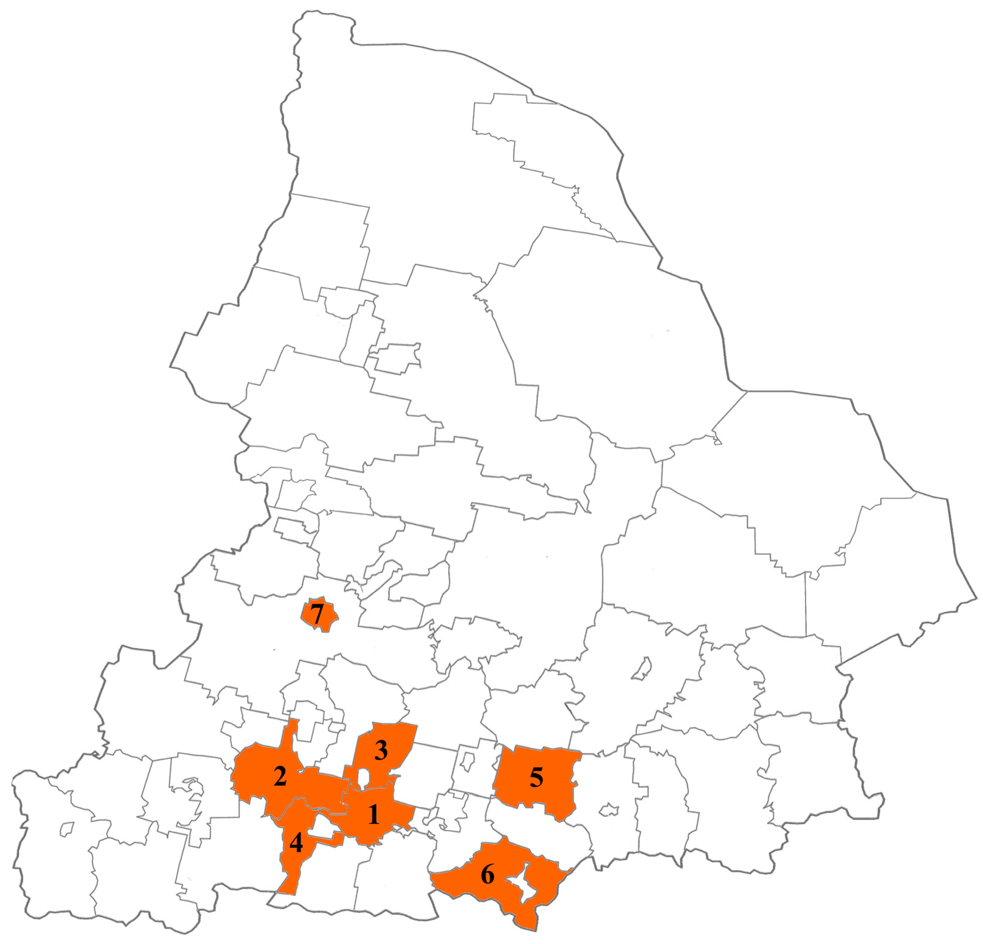 Viruses 16 01001 g001