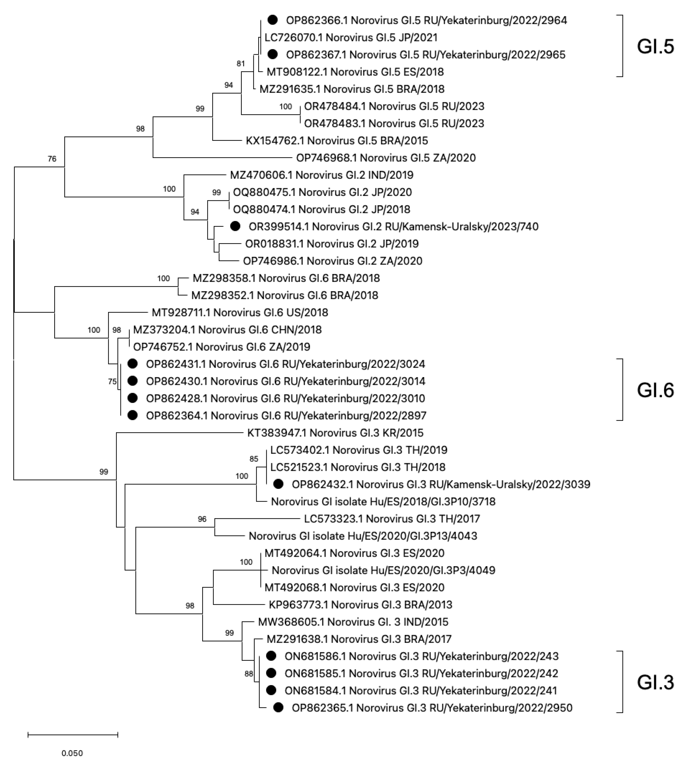 Viruses 16 01001 g003