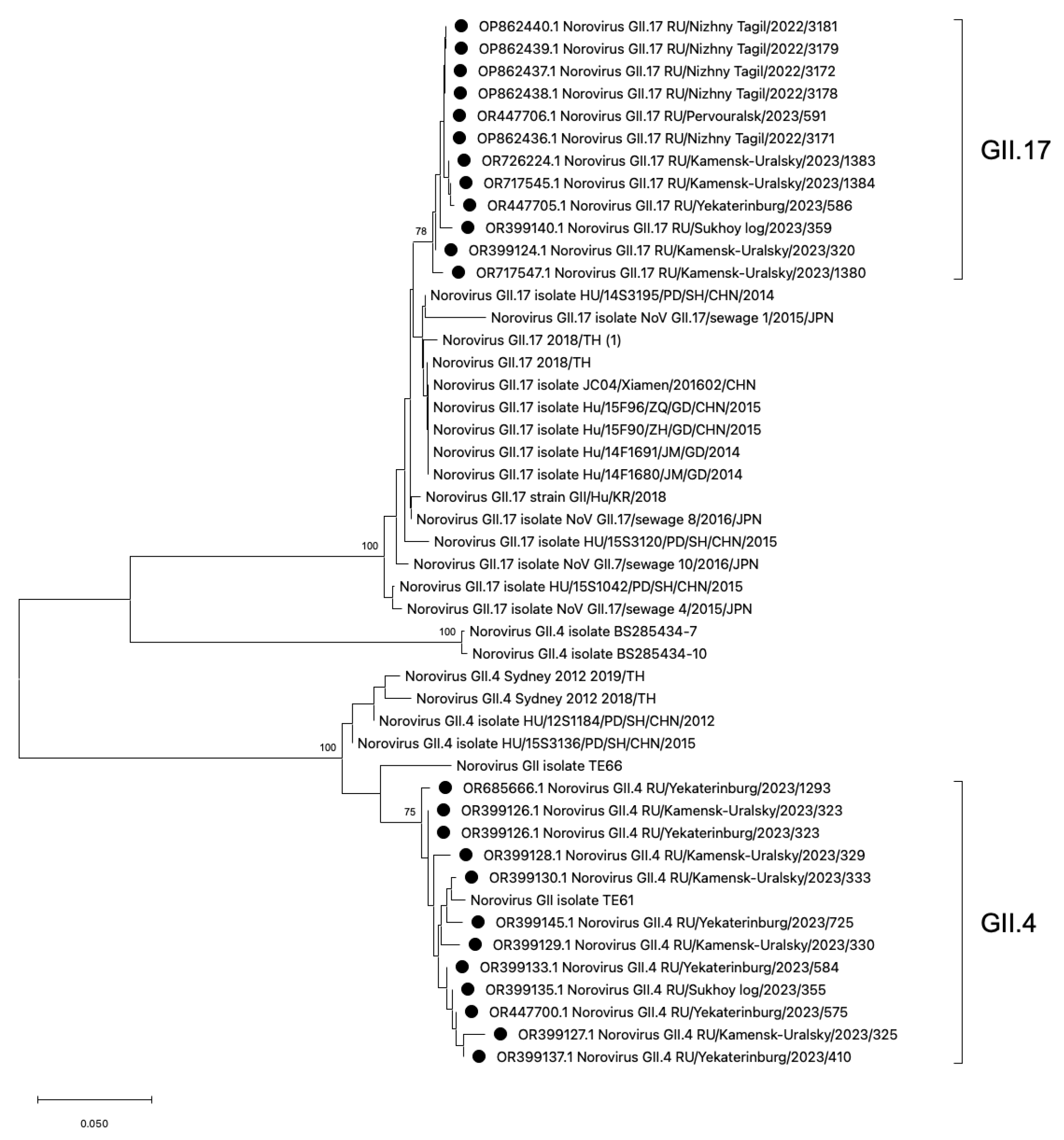 Viruses 16 01001 g005
