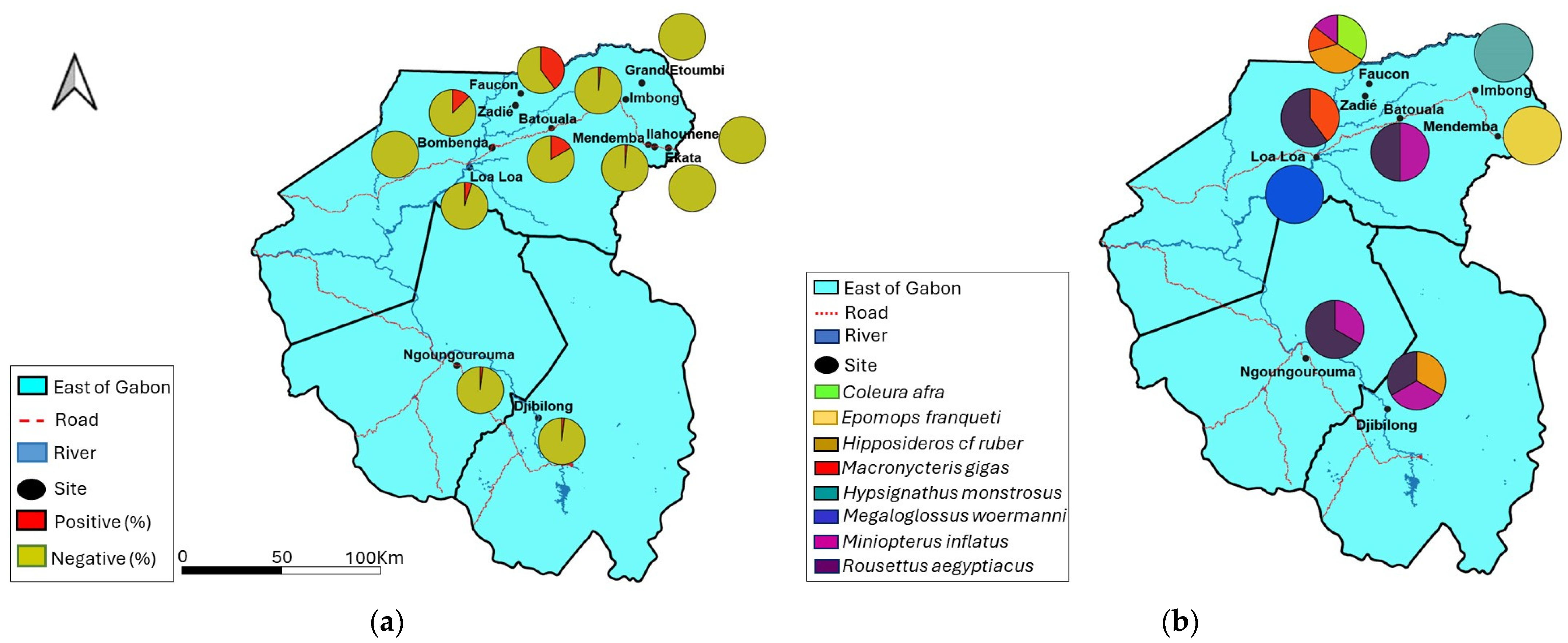 Viruses 16 01015 g003