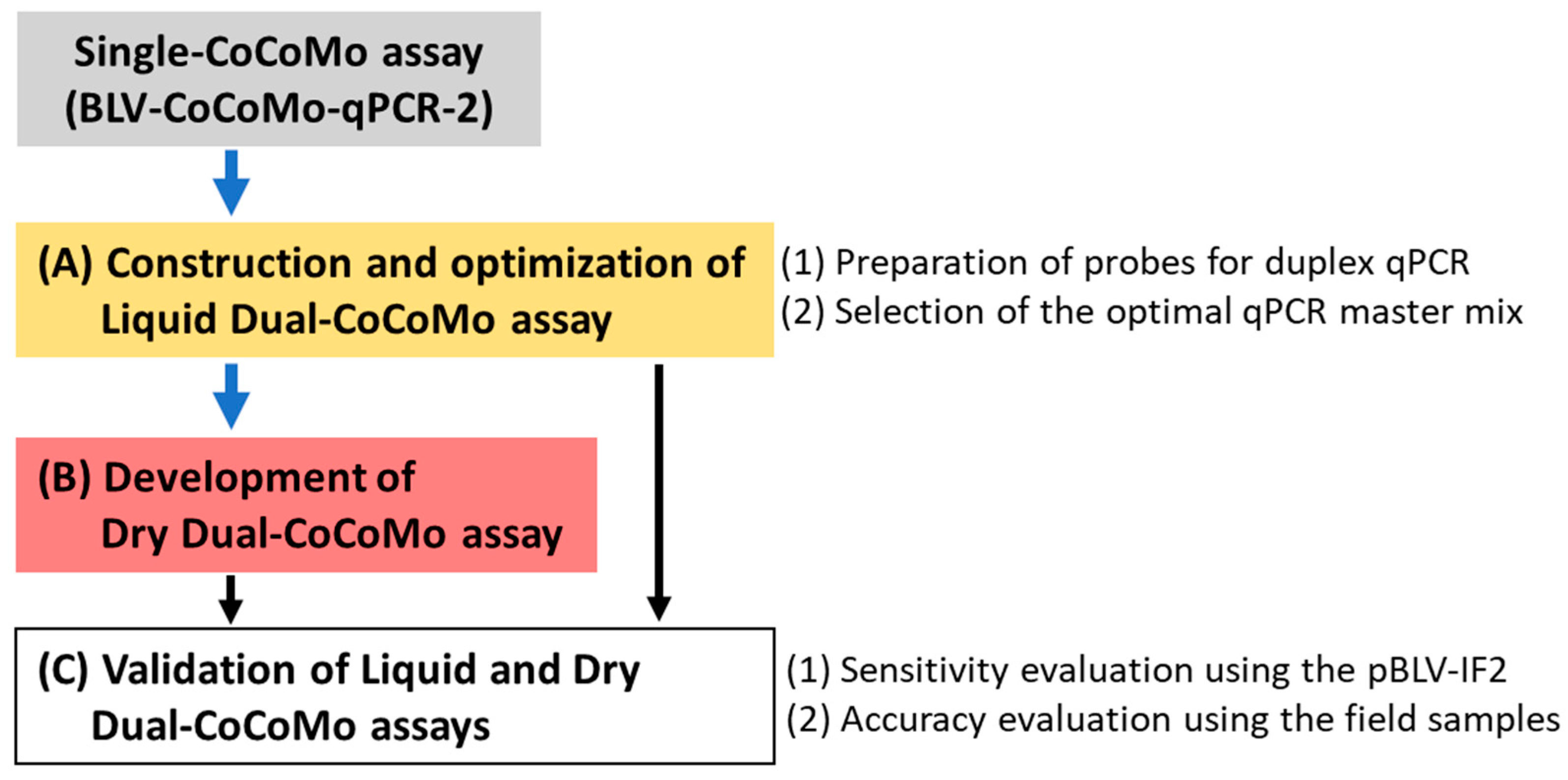 Viruses 16 01016 g001