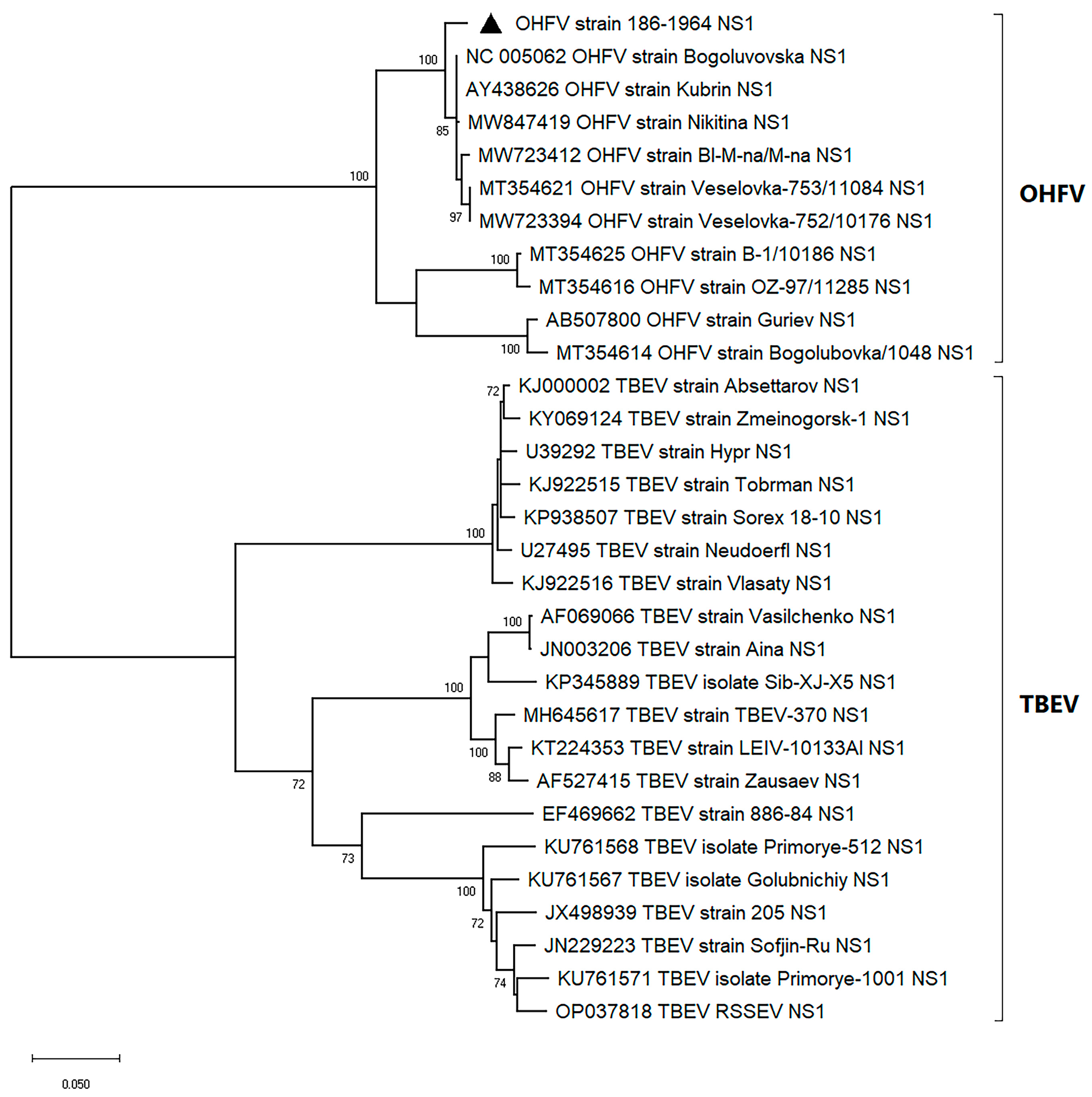 Viruses 16 01032 g001