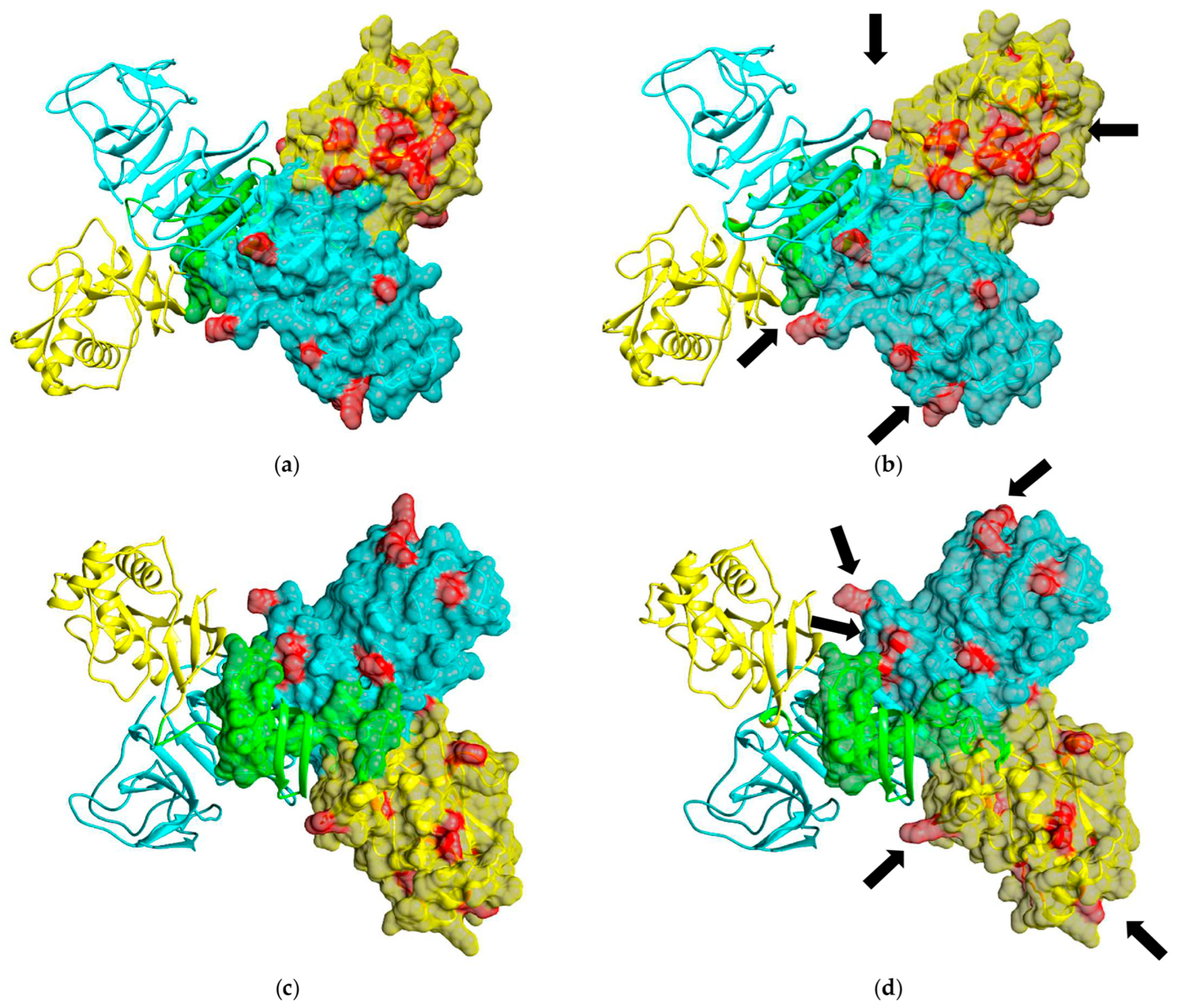 Viruses 16 01032 g003