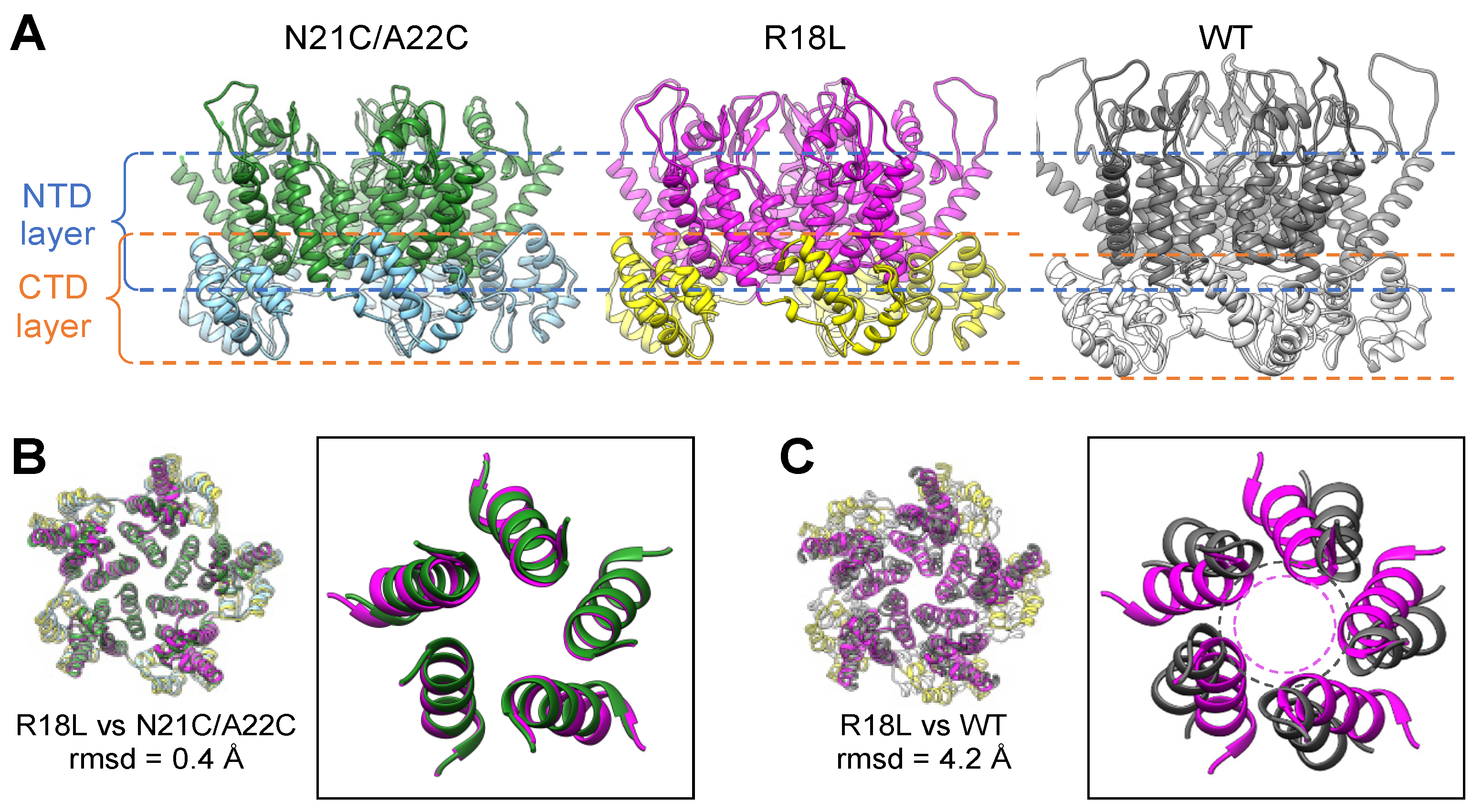 Viruses 16 01038 g002