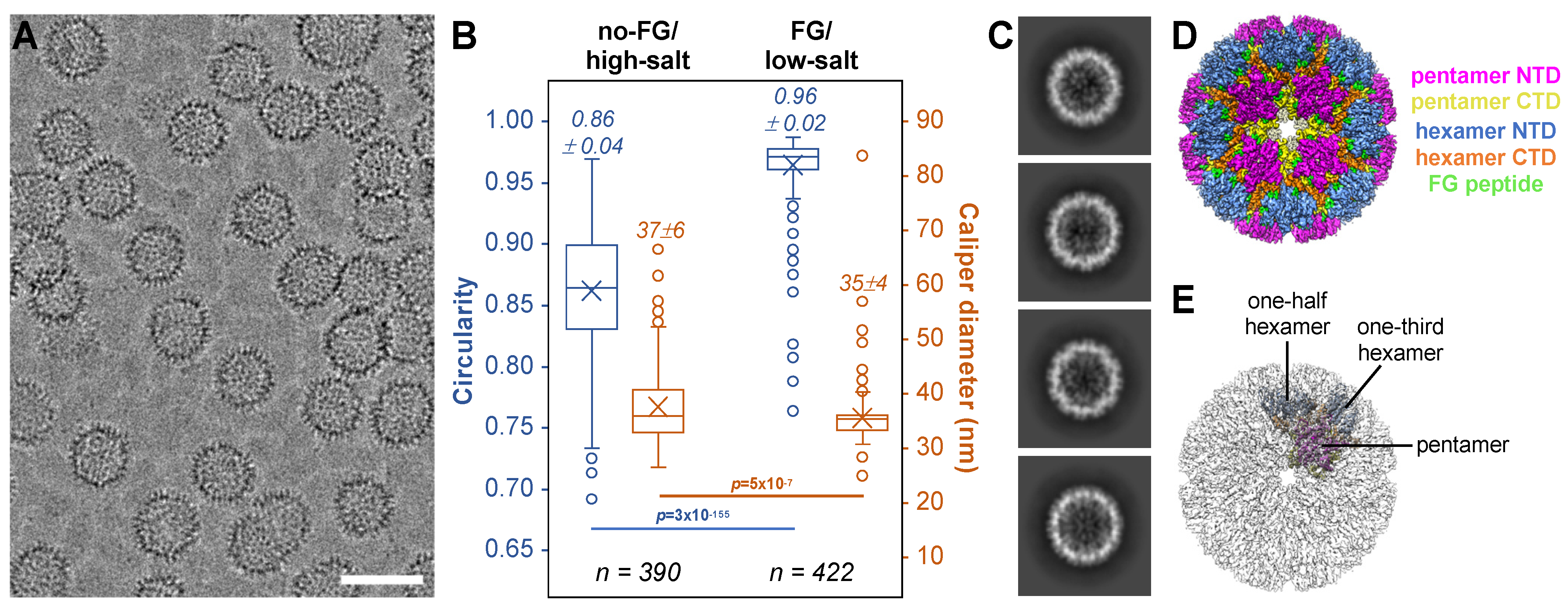 Viruses 16 01038 g008