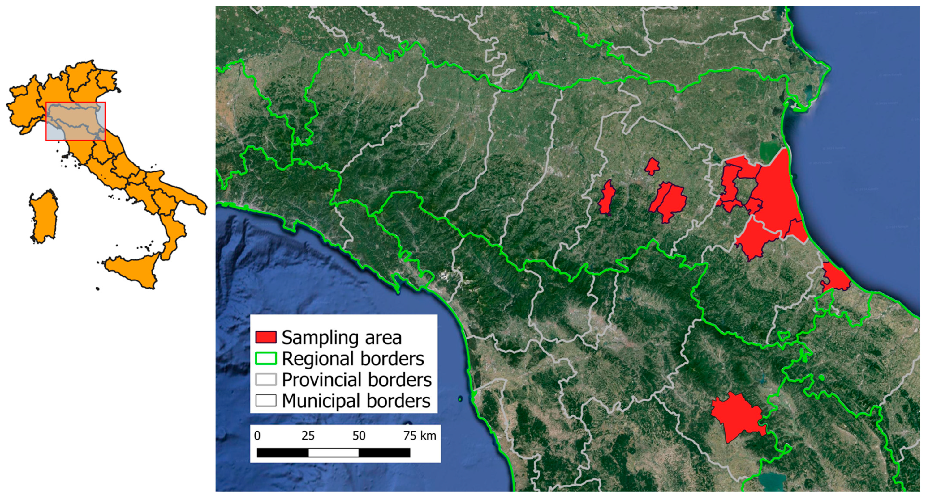 Viruses 16 01041 g001