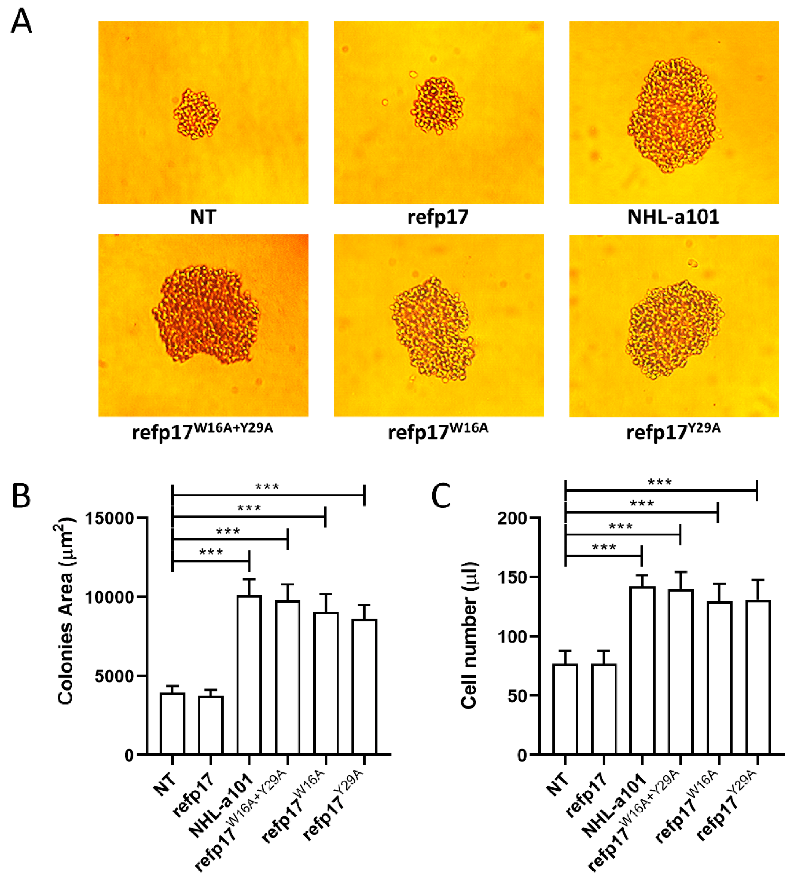 Viruses 16 01048 g007