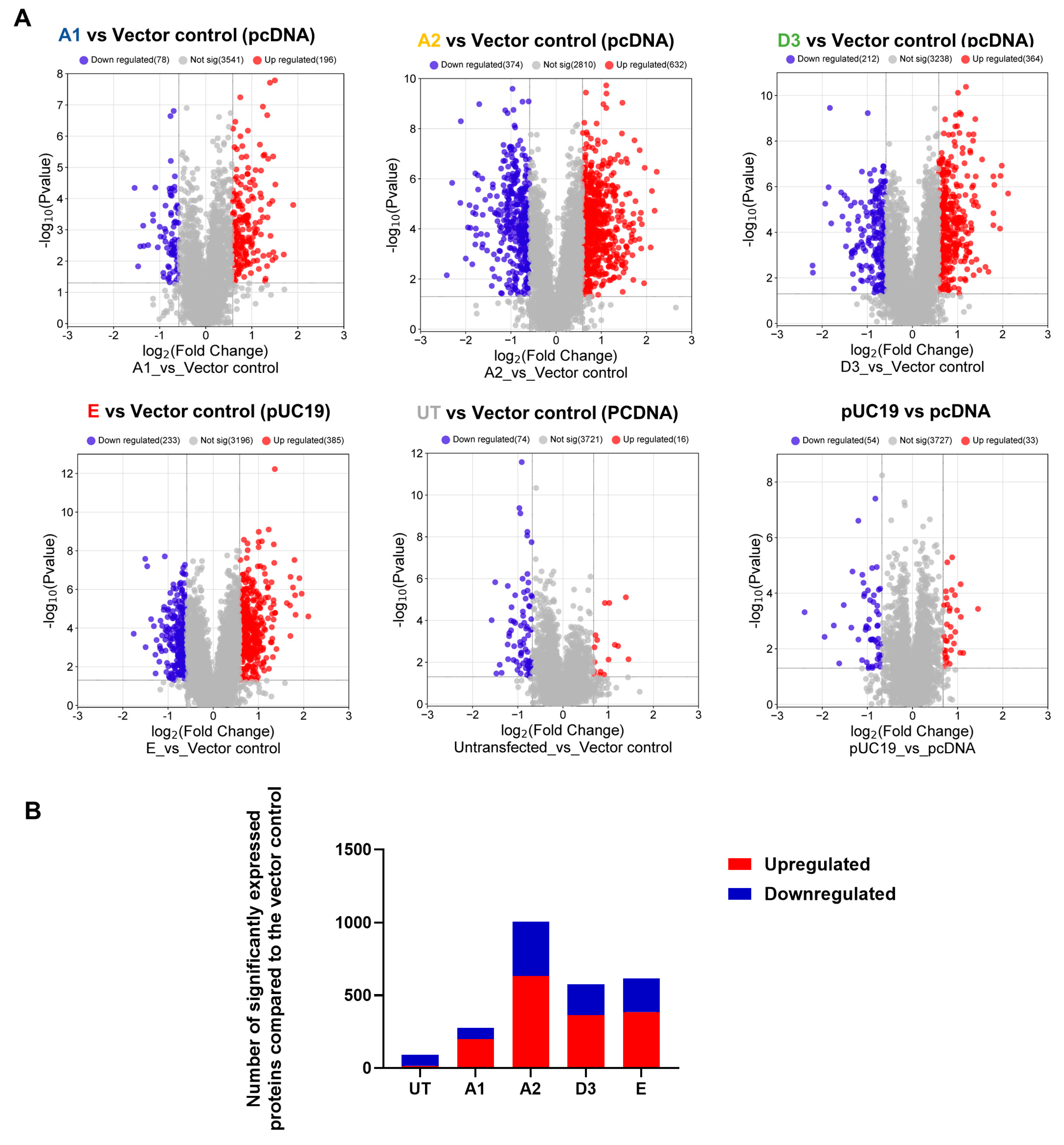 Viruses 16 01052 g001