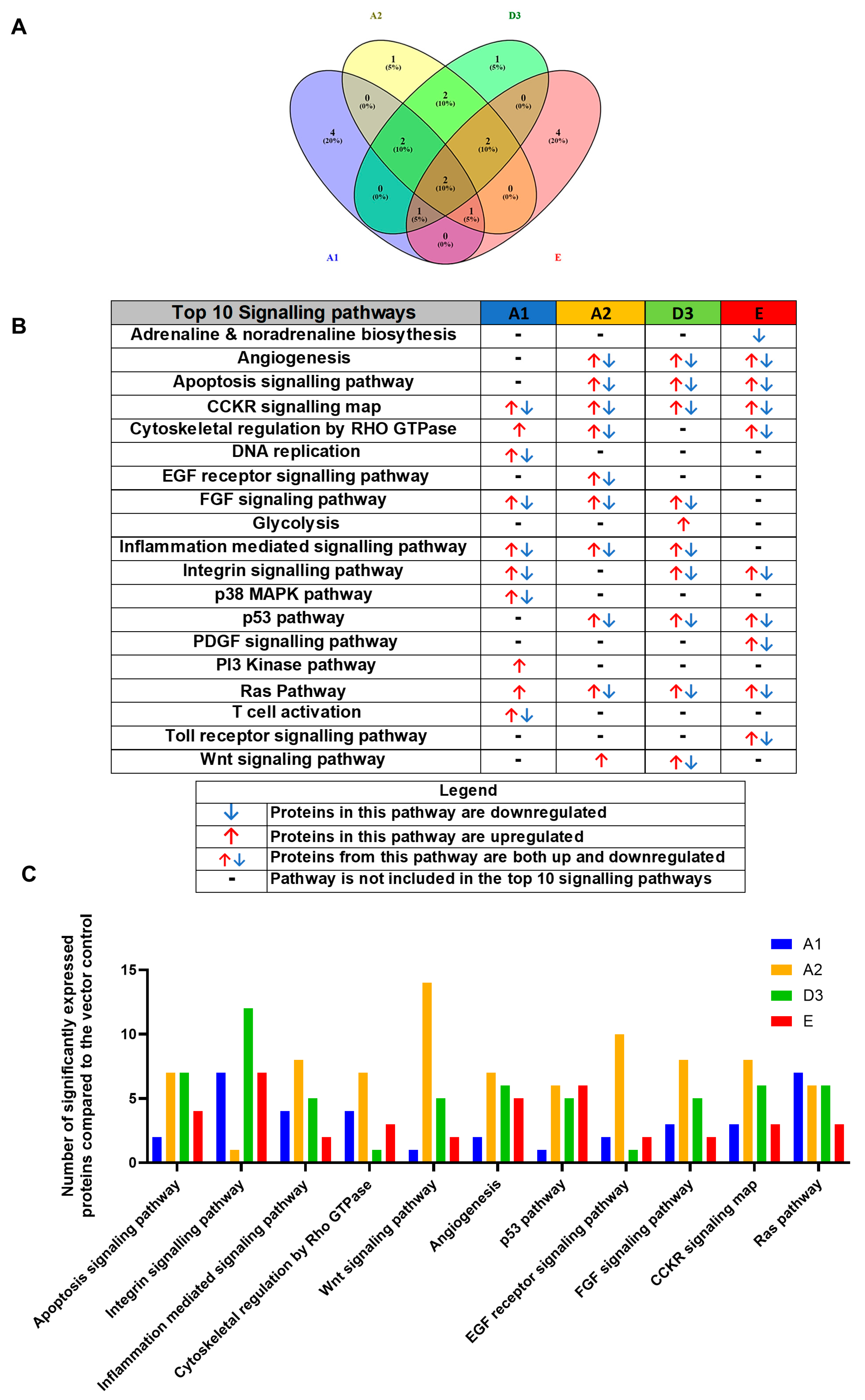 Viruses 16 01052 g002