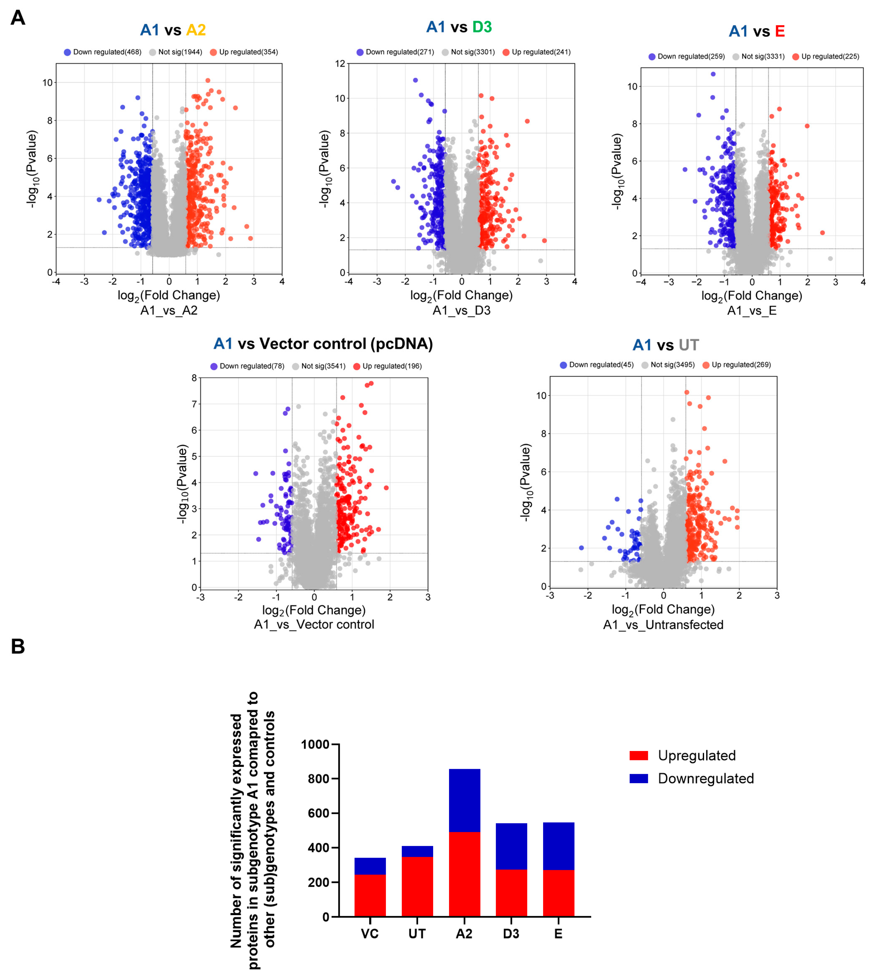 Viruses 16 01052 g003