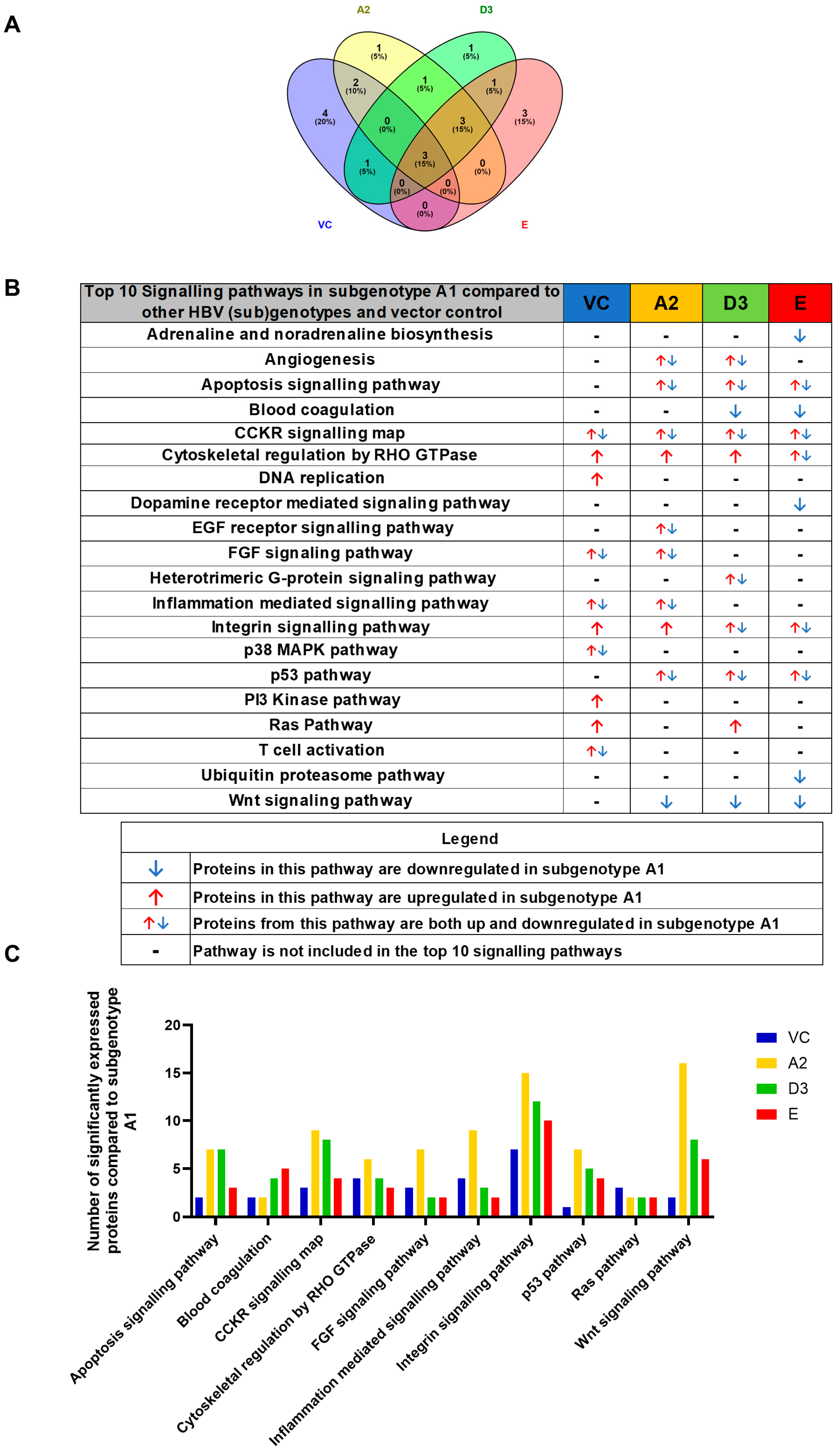 Viruses 16 01052 g004