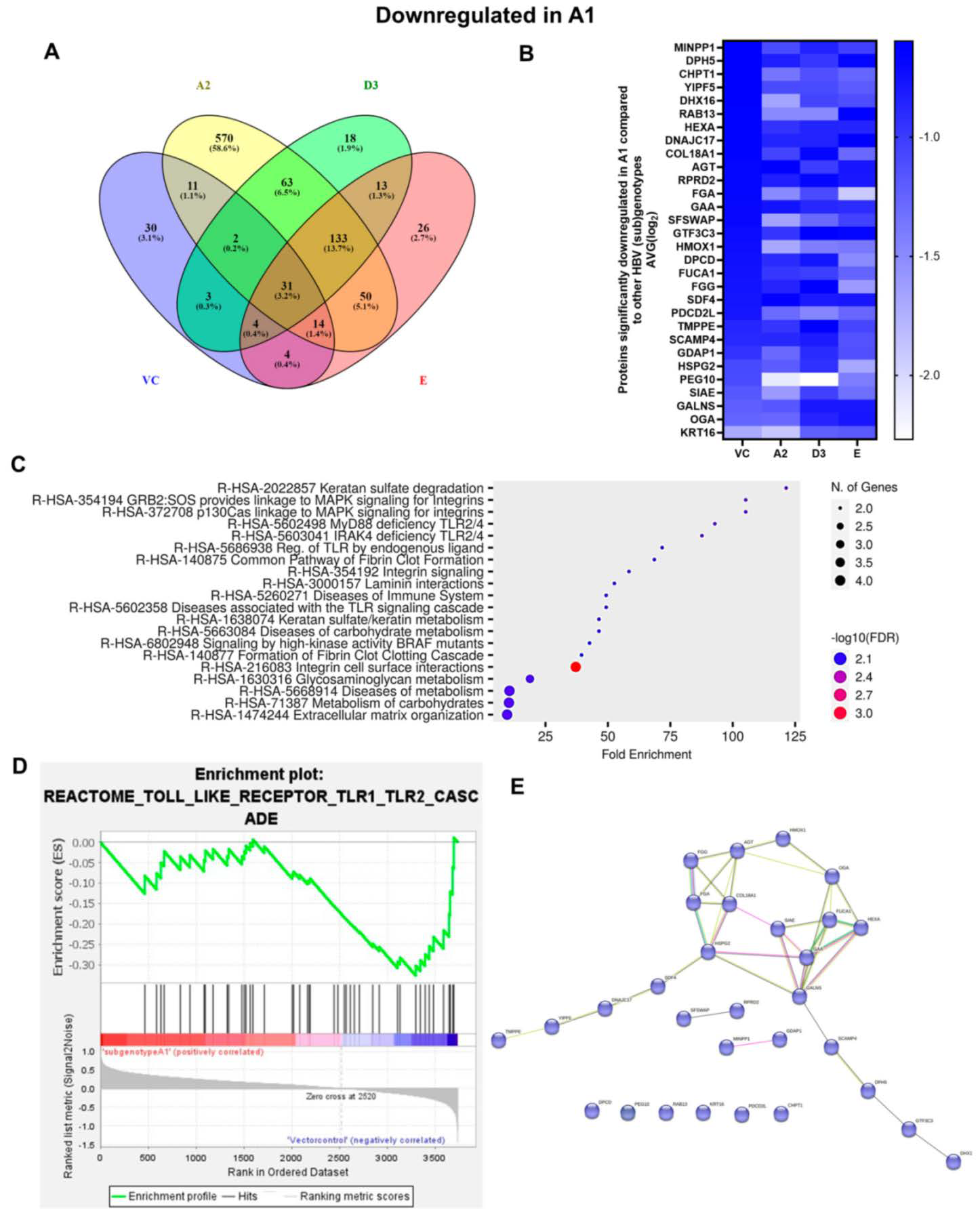 Viruses 16 01052 g006