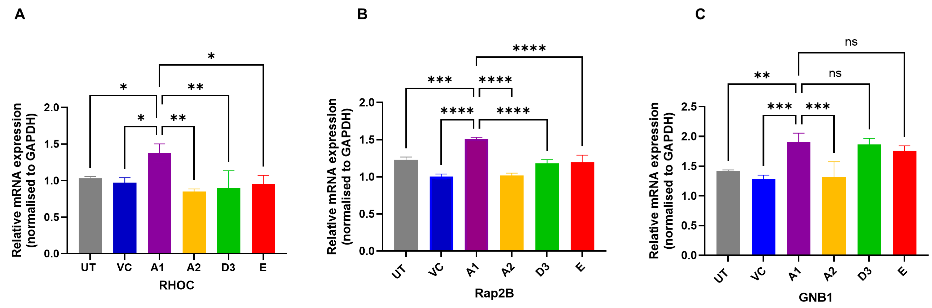 Viruses 16 01052 g007