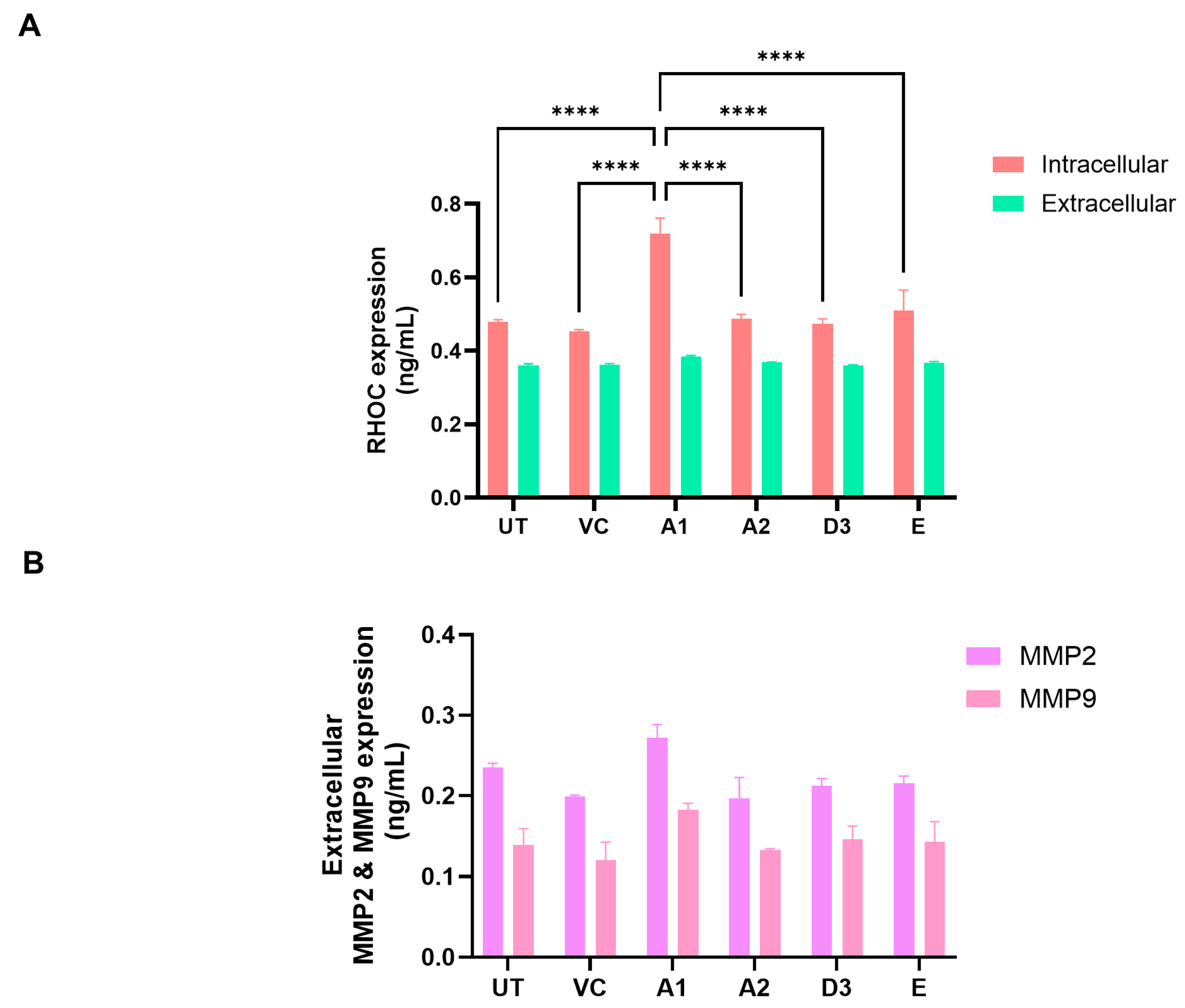 Viruses 16 01052 g008