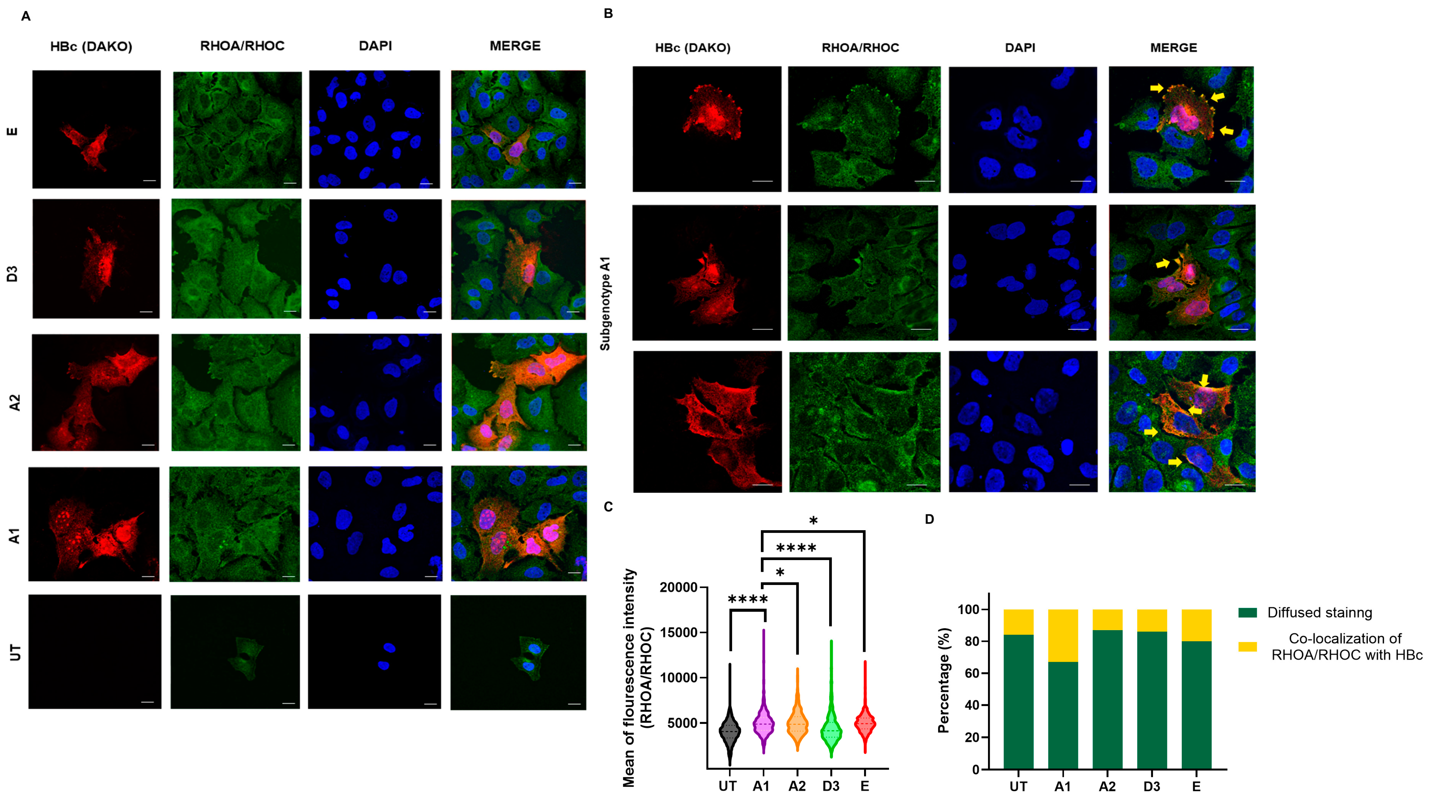 Viruses 16 01052 g009