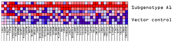 Viruses 16 01052 i003
