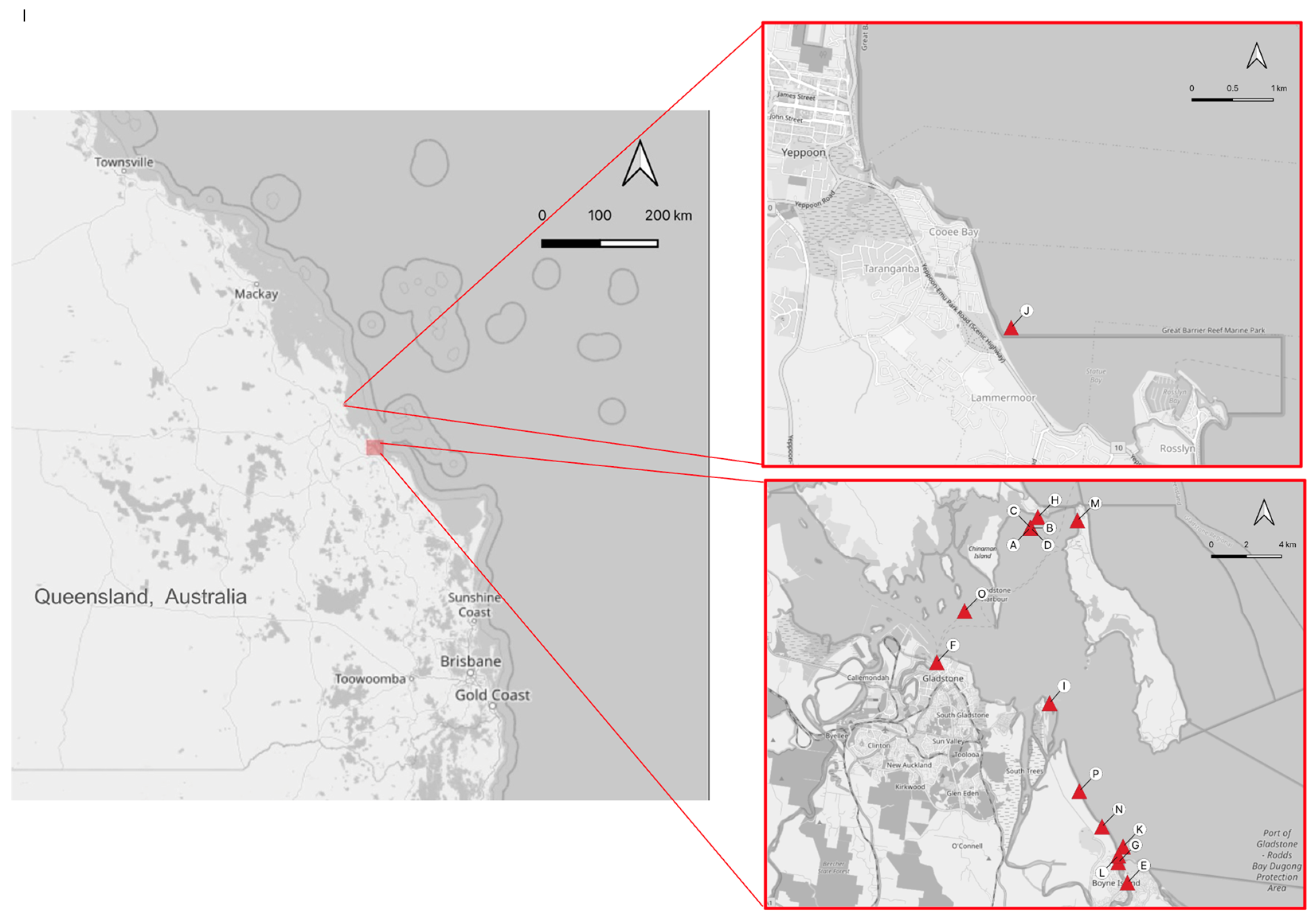 Viruses 16 01053 g001