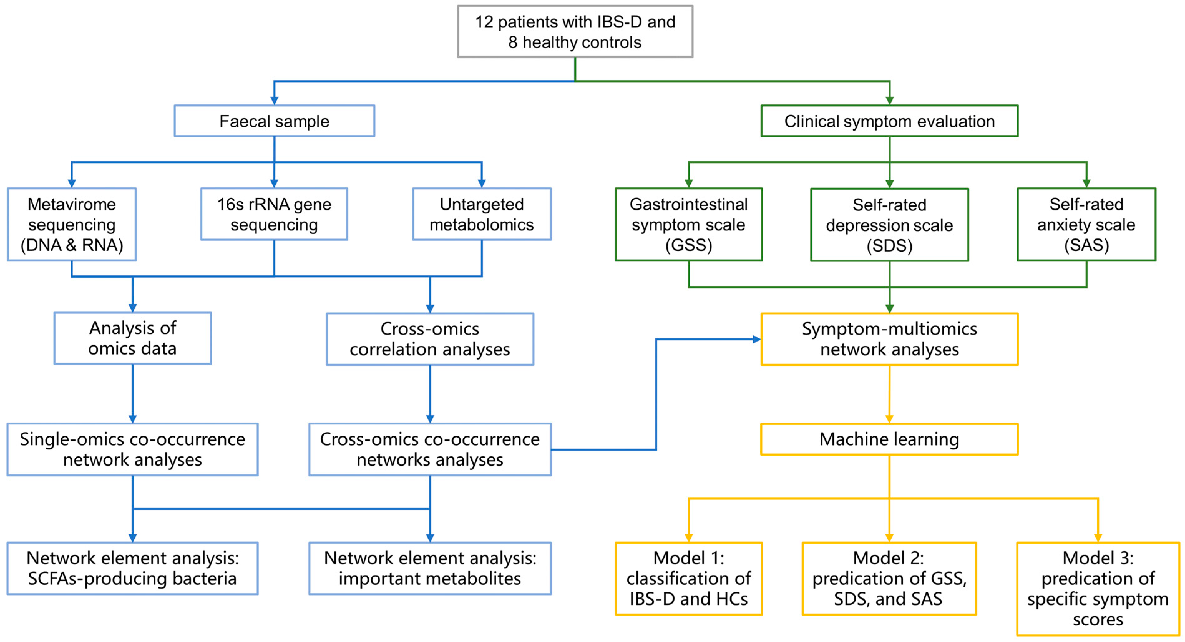 Viruses 16 01054 g001