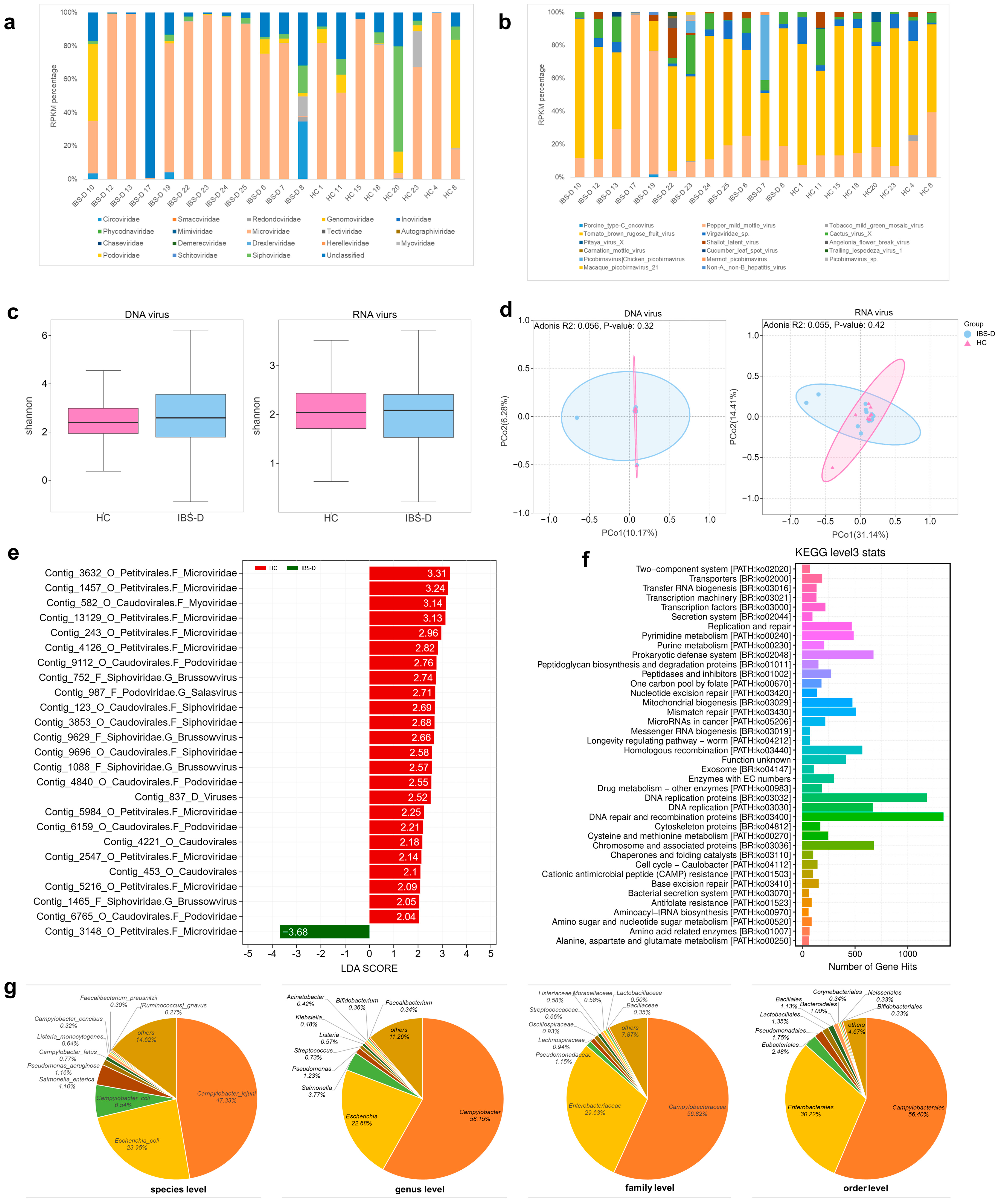 Viruses 16 01054 g002
