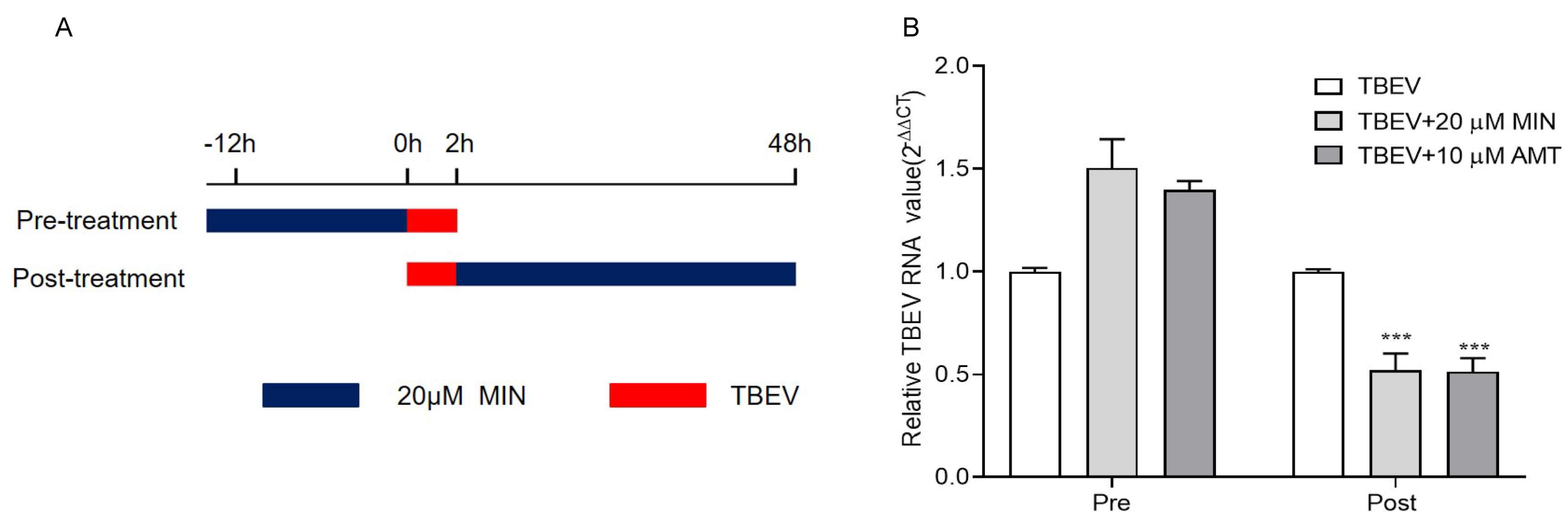 Viruses 16 01055 g002