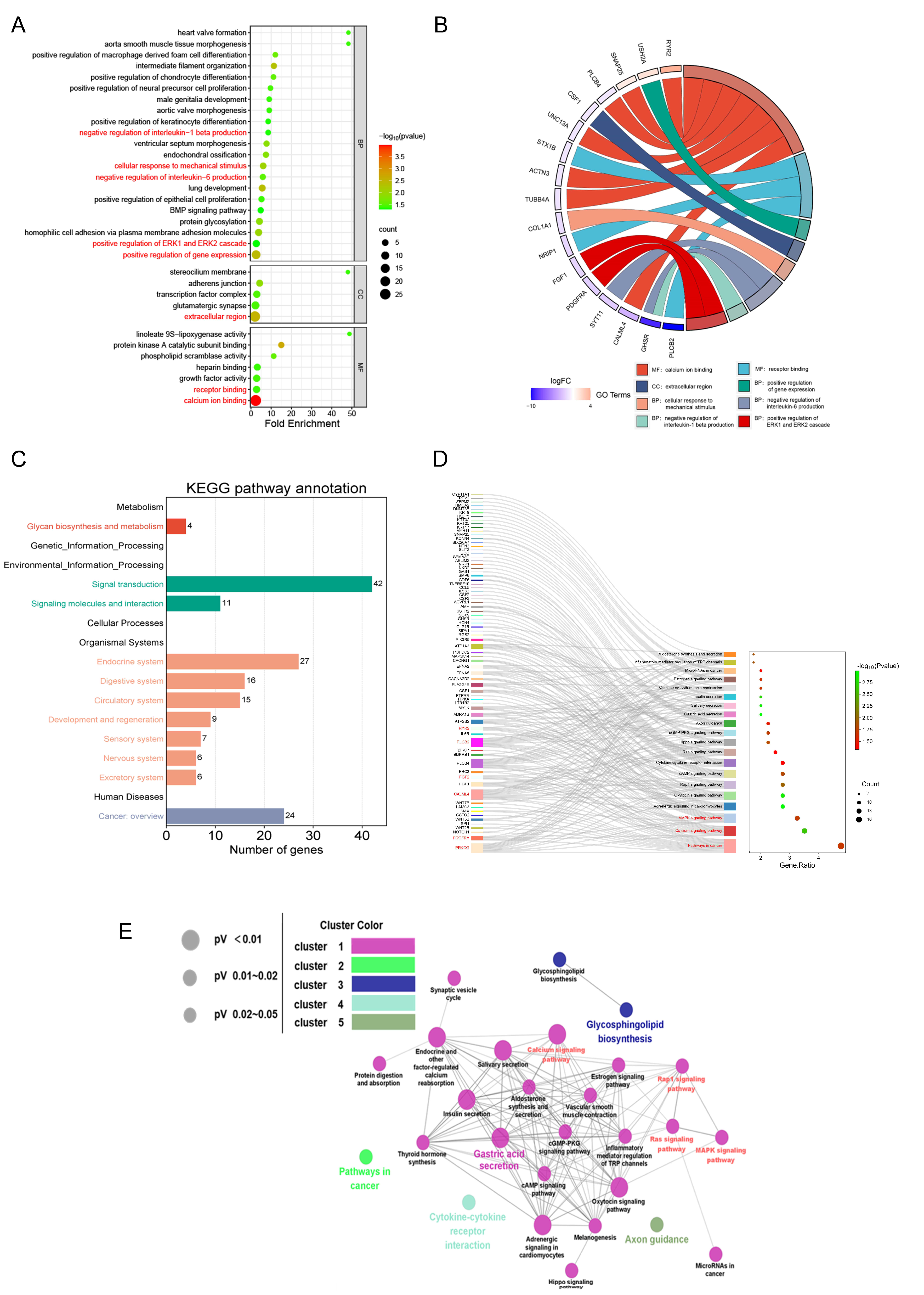 Viruses 16 01055 g006