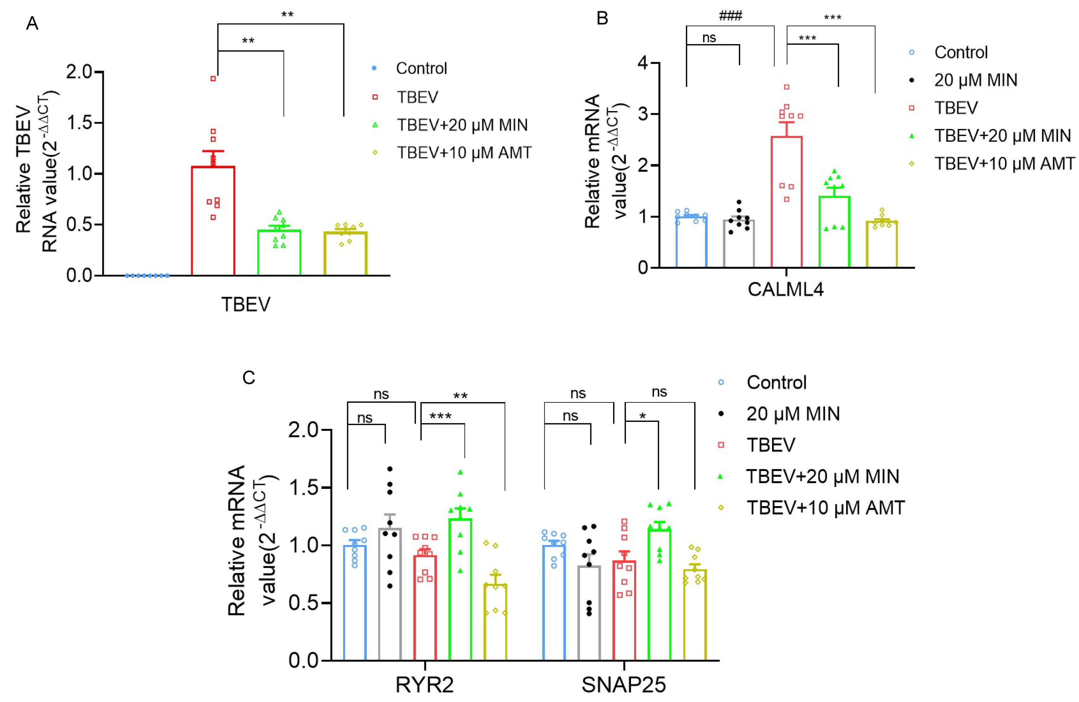 Viruses 16 01055 g007
