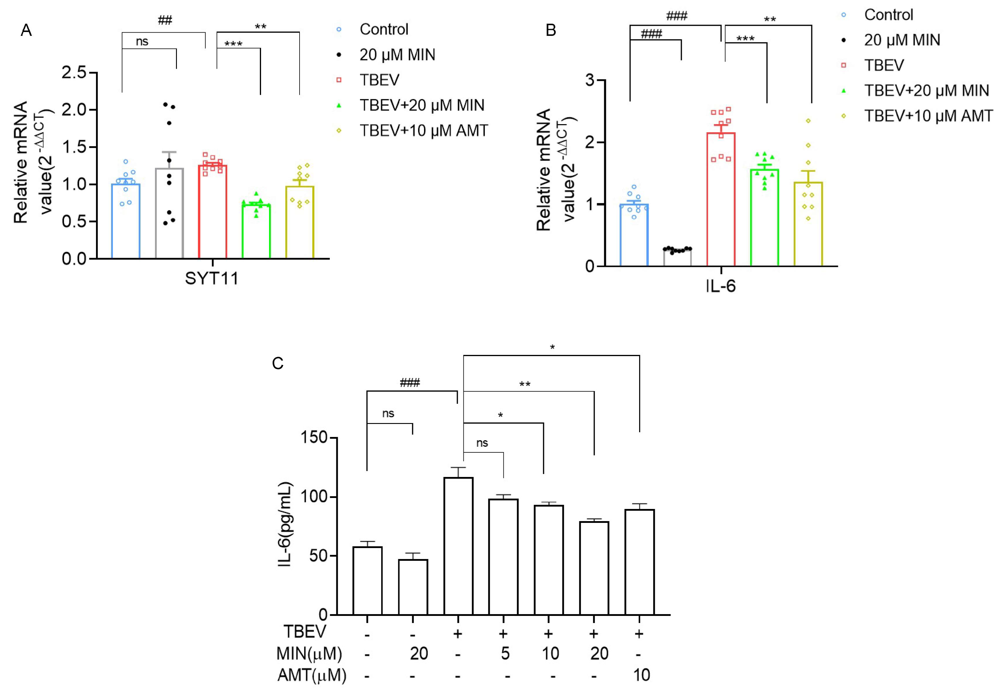 Viruses 16 01055 g009