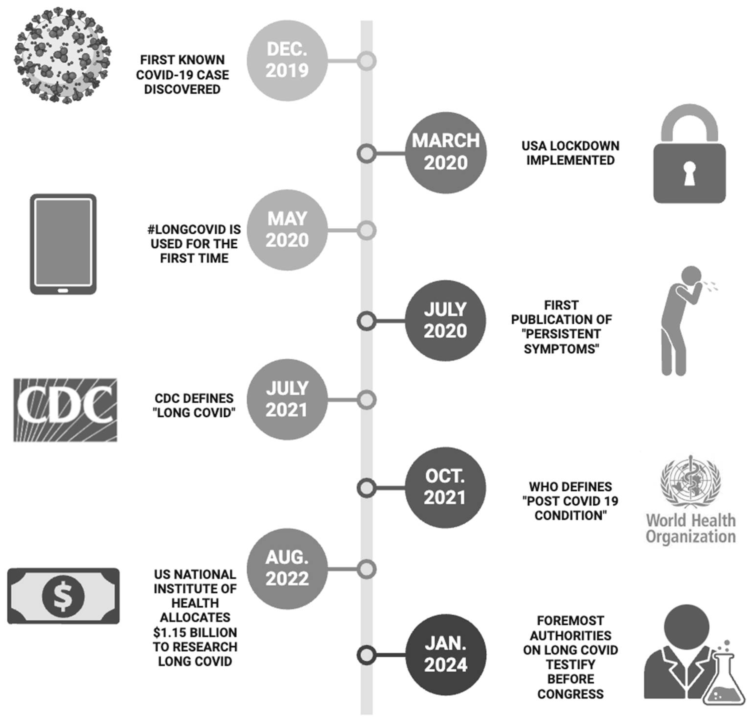 Viruses 16 01060 g001