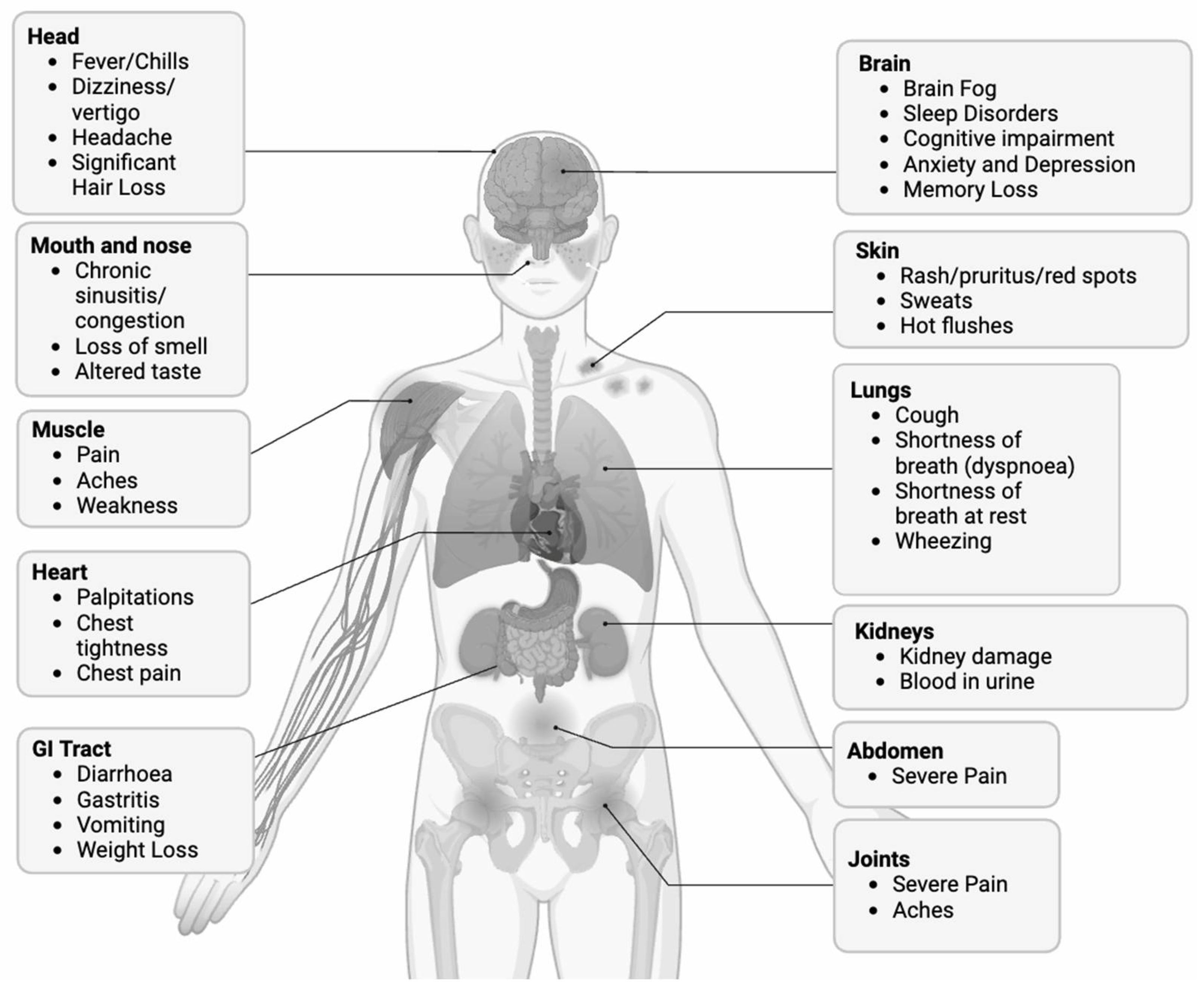 Viruses 16 01060 g002
