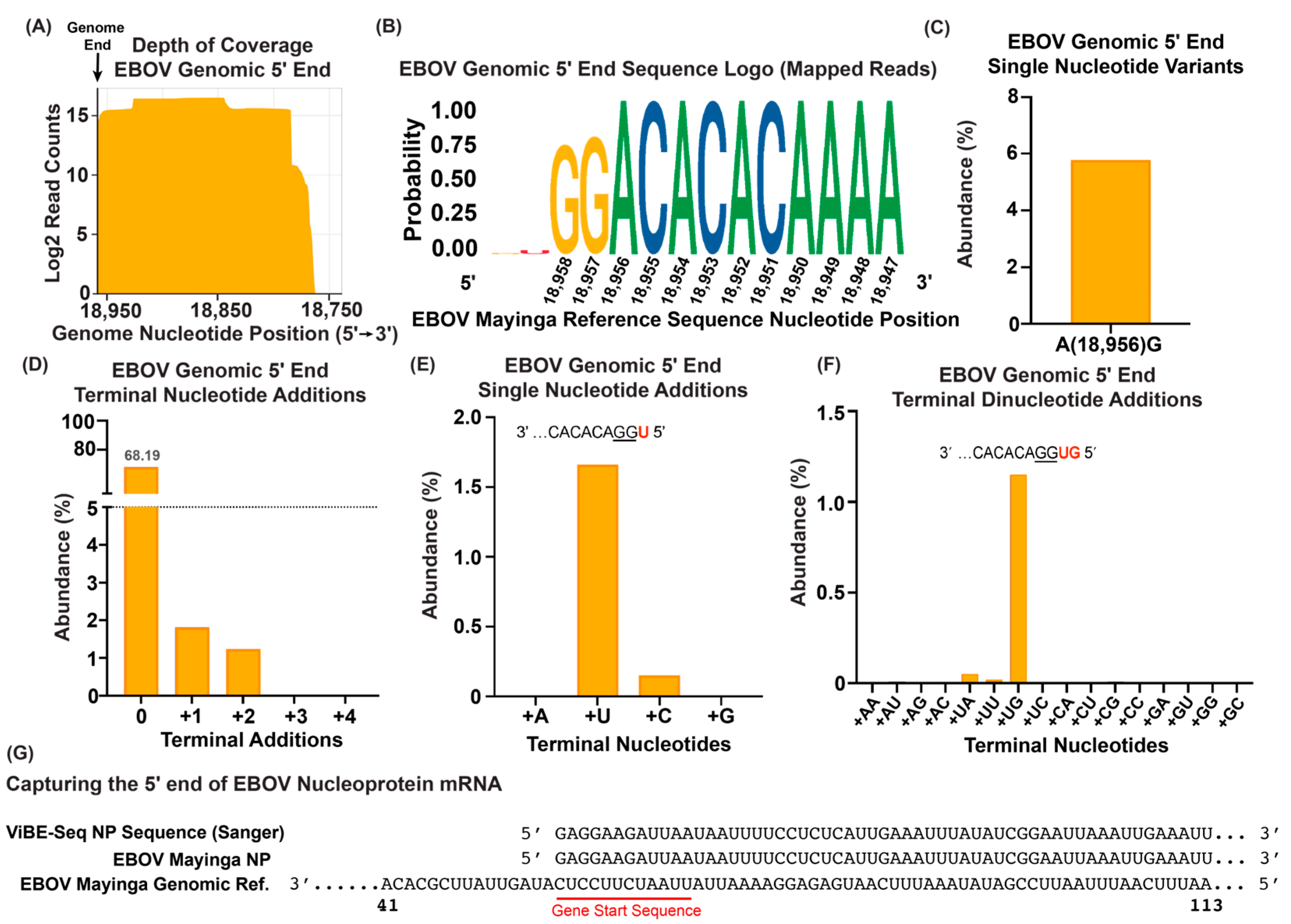 Viruses 16 01064 g003