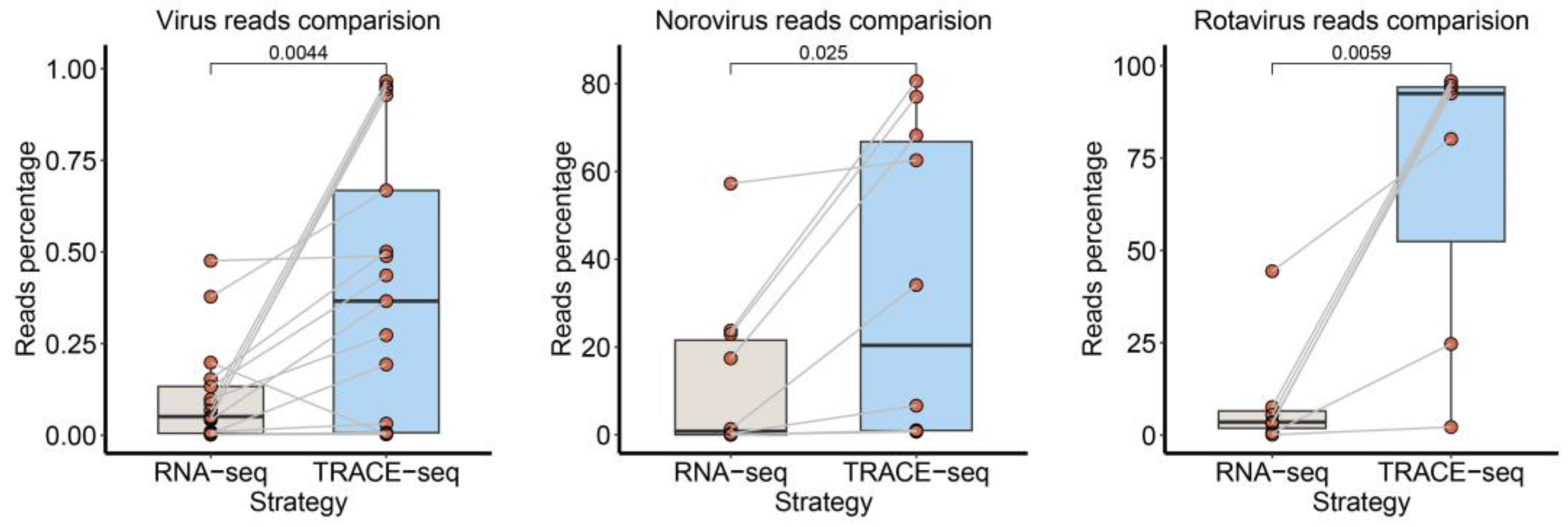 Viruses 16 01068 g003