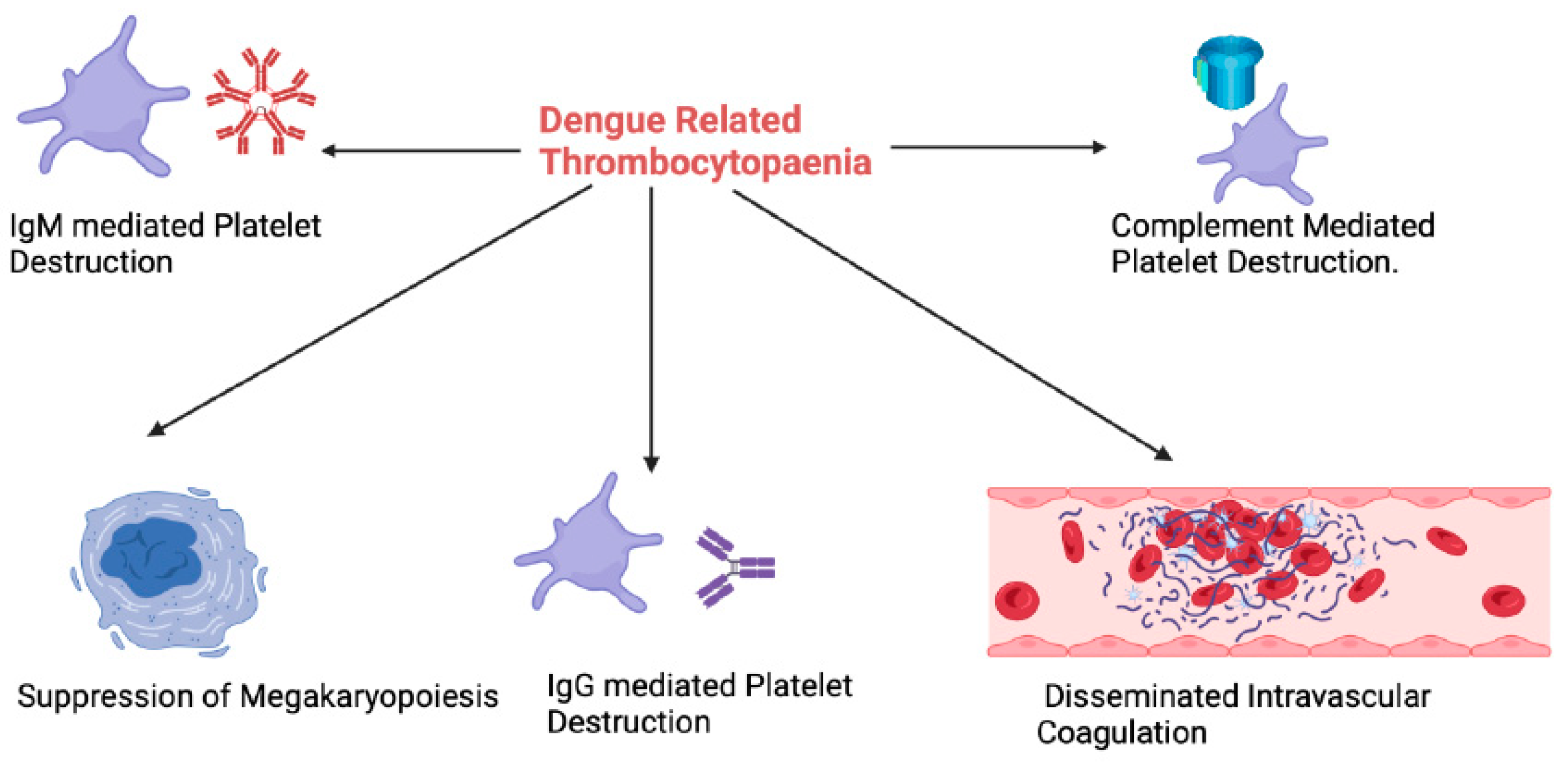 Viruses 16 01090 g002