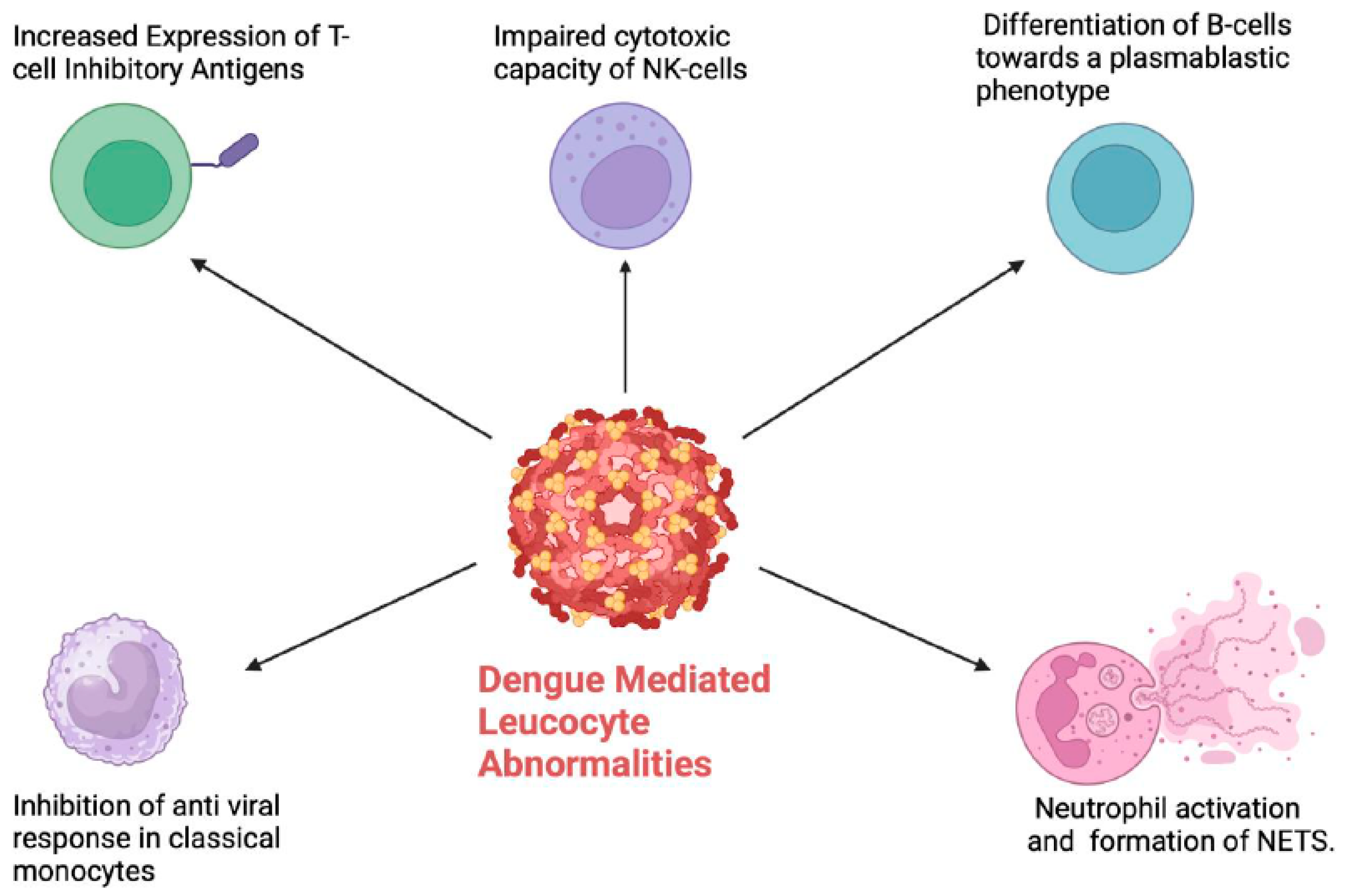 Viruses 16 01090 g003
