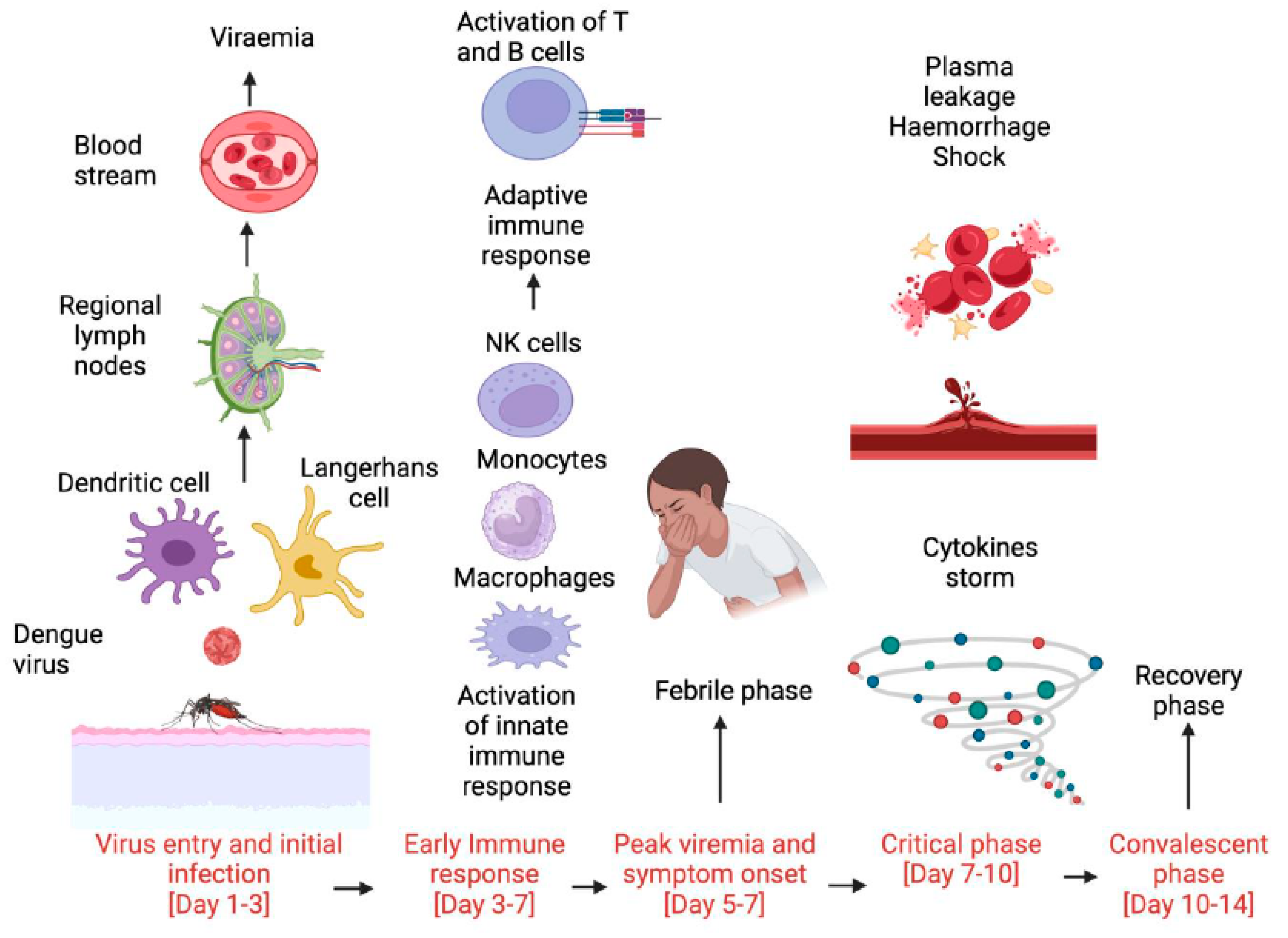 Viruses 16 01090 g004