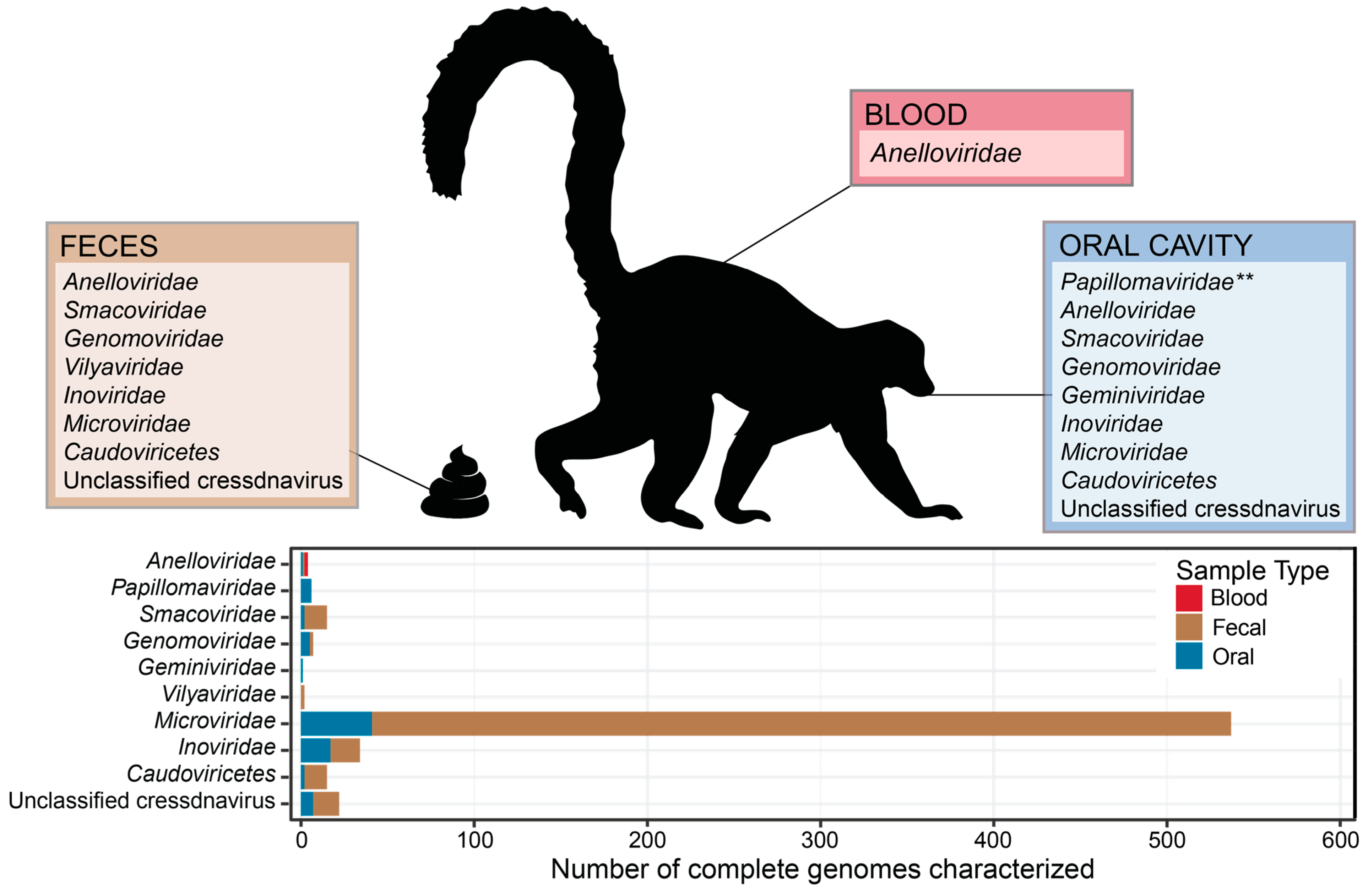 Viruses 16 01099 g001