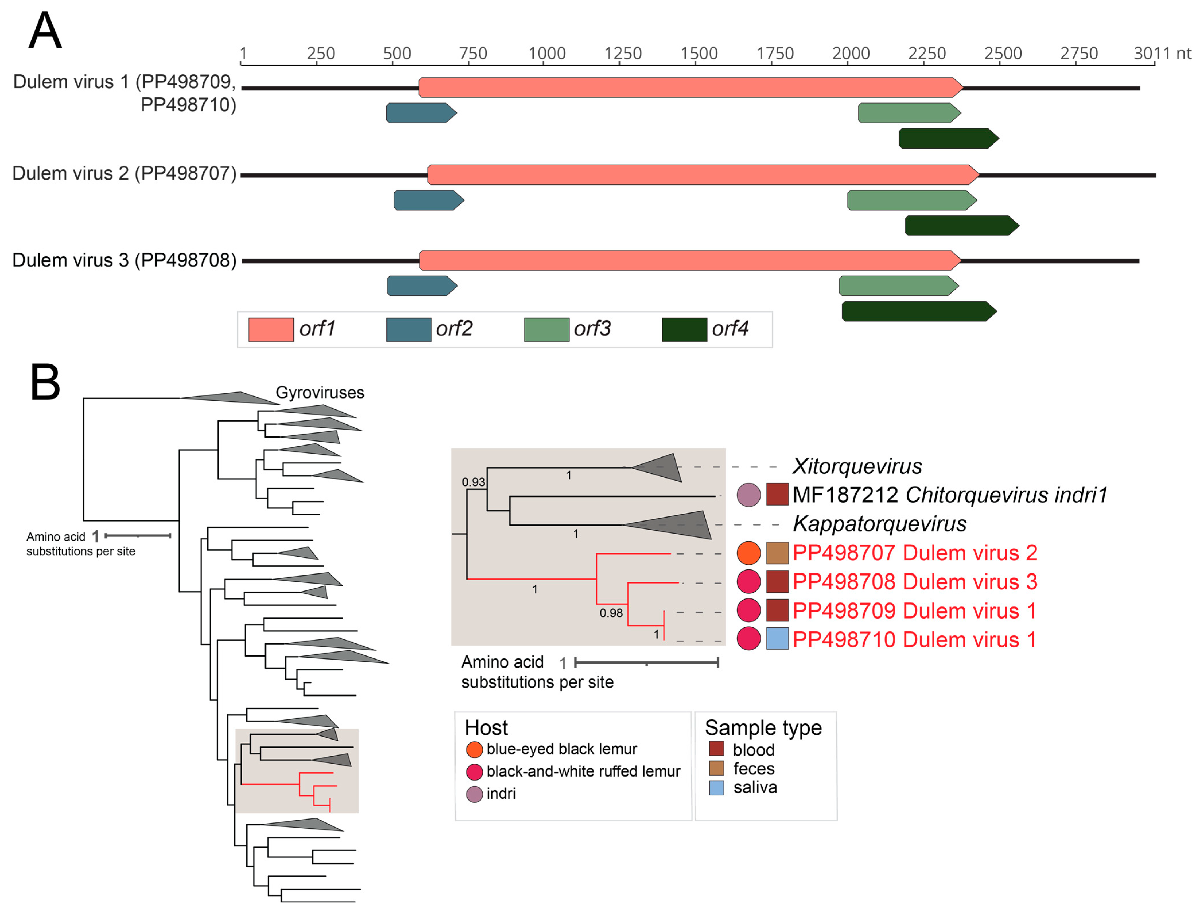 Viruses 16 01099 g004