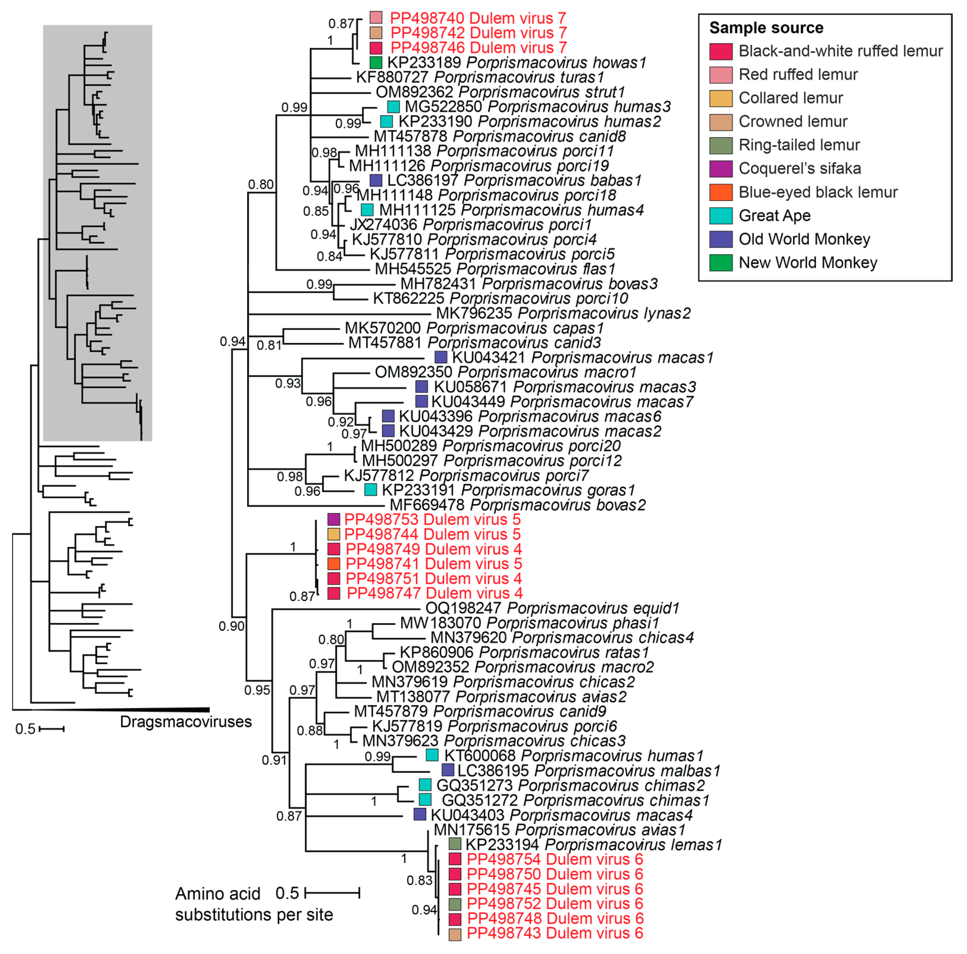 Viruses 16 01099 g007