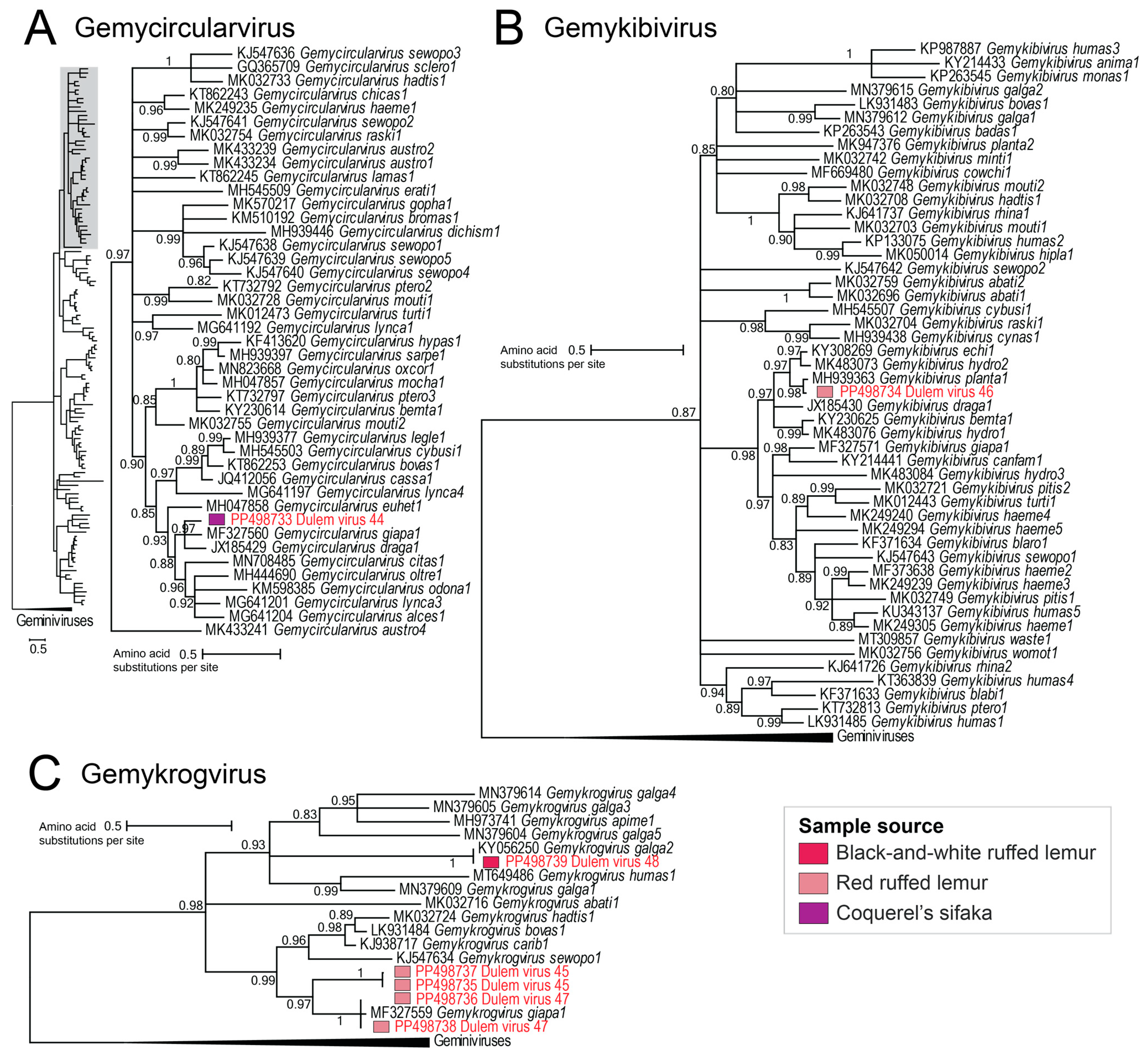 Viruses 16 01099 g008
